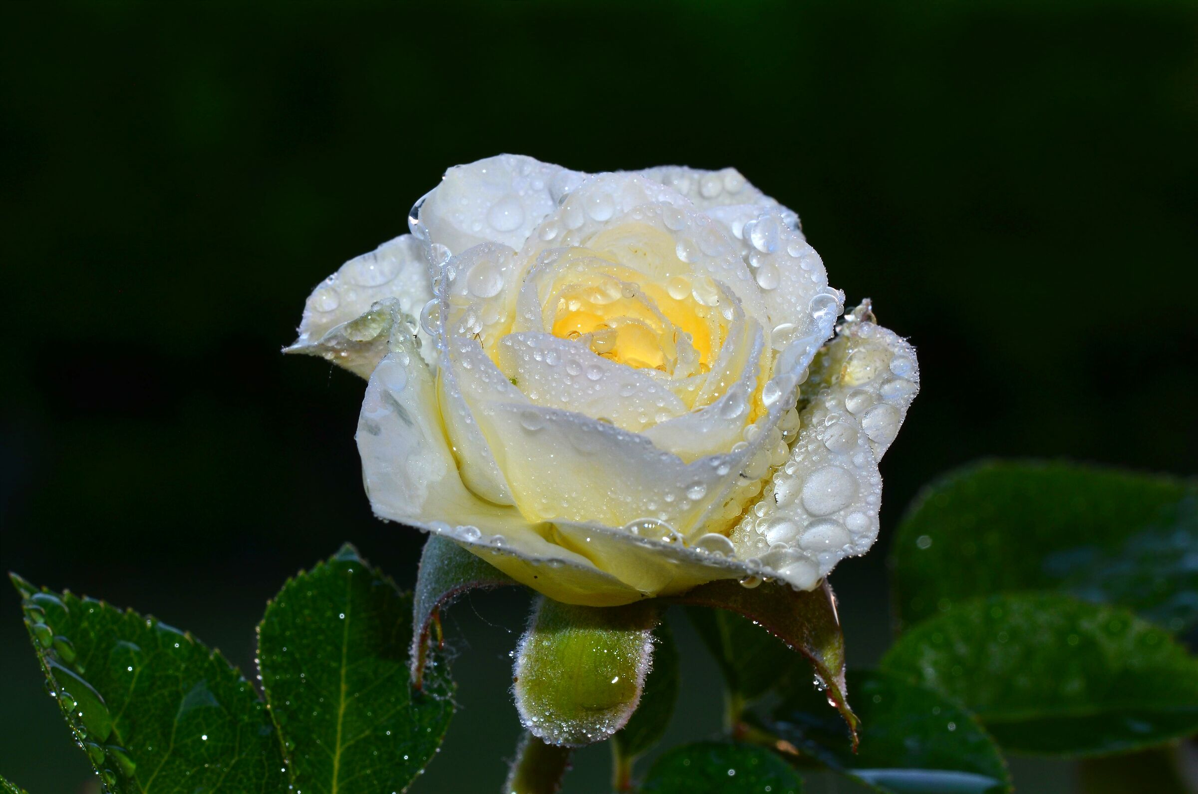 Untitled Photo