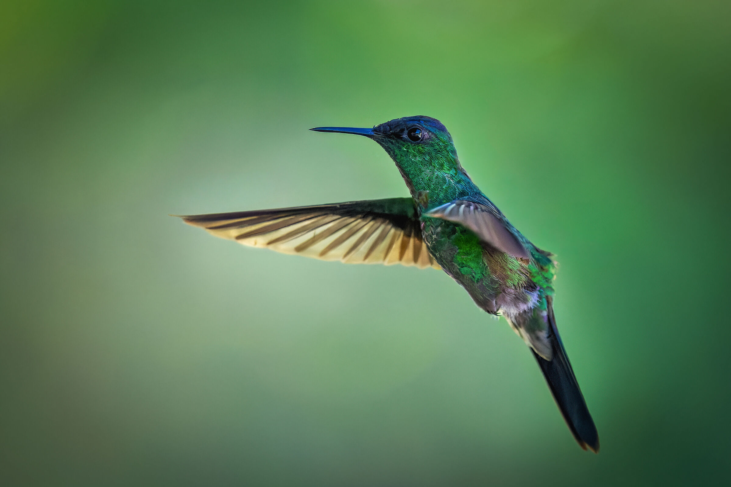 in mid-air