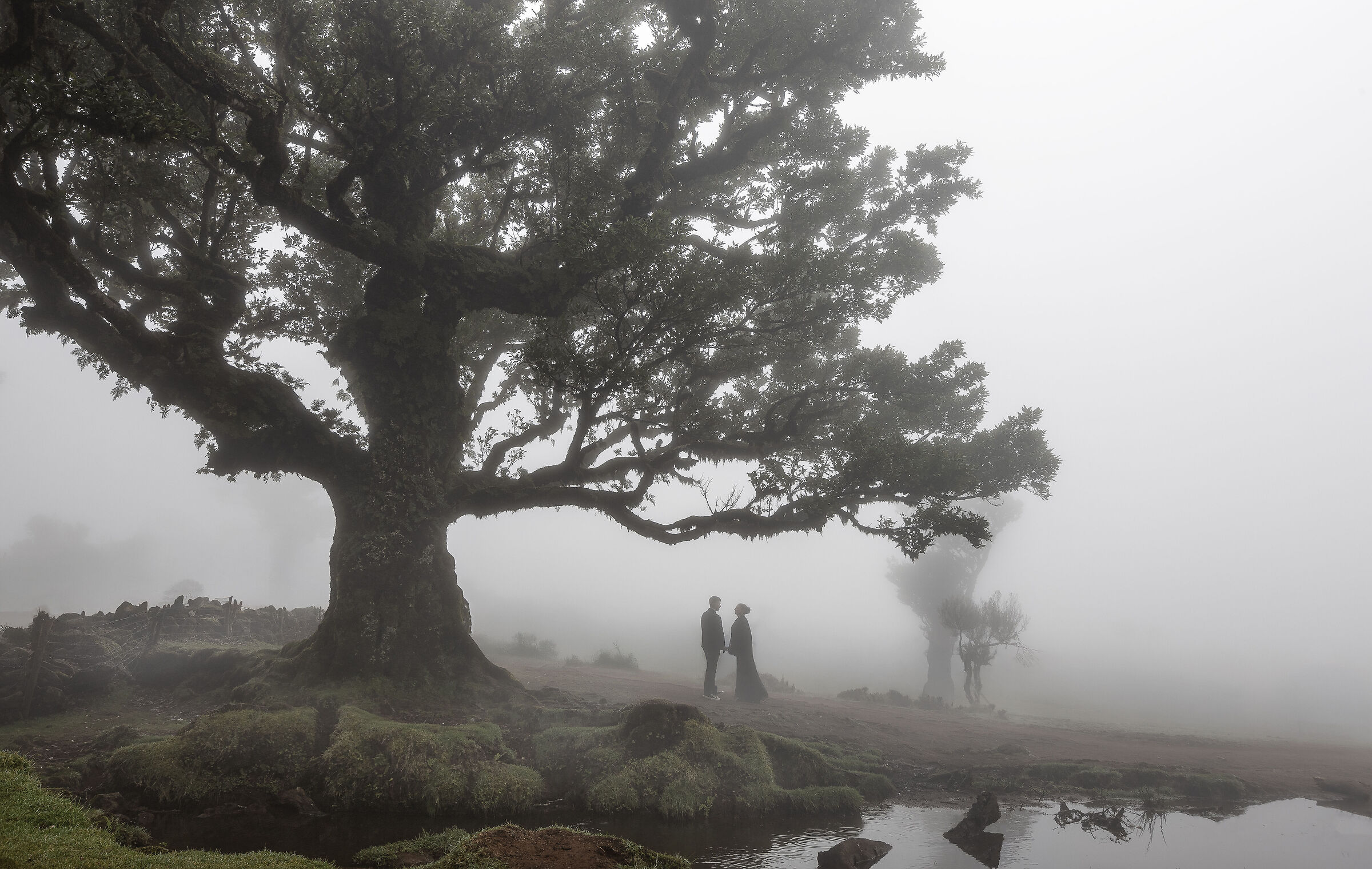 Wedding in the fog