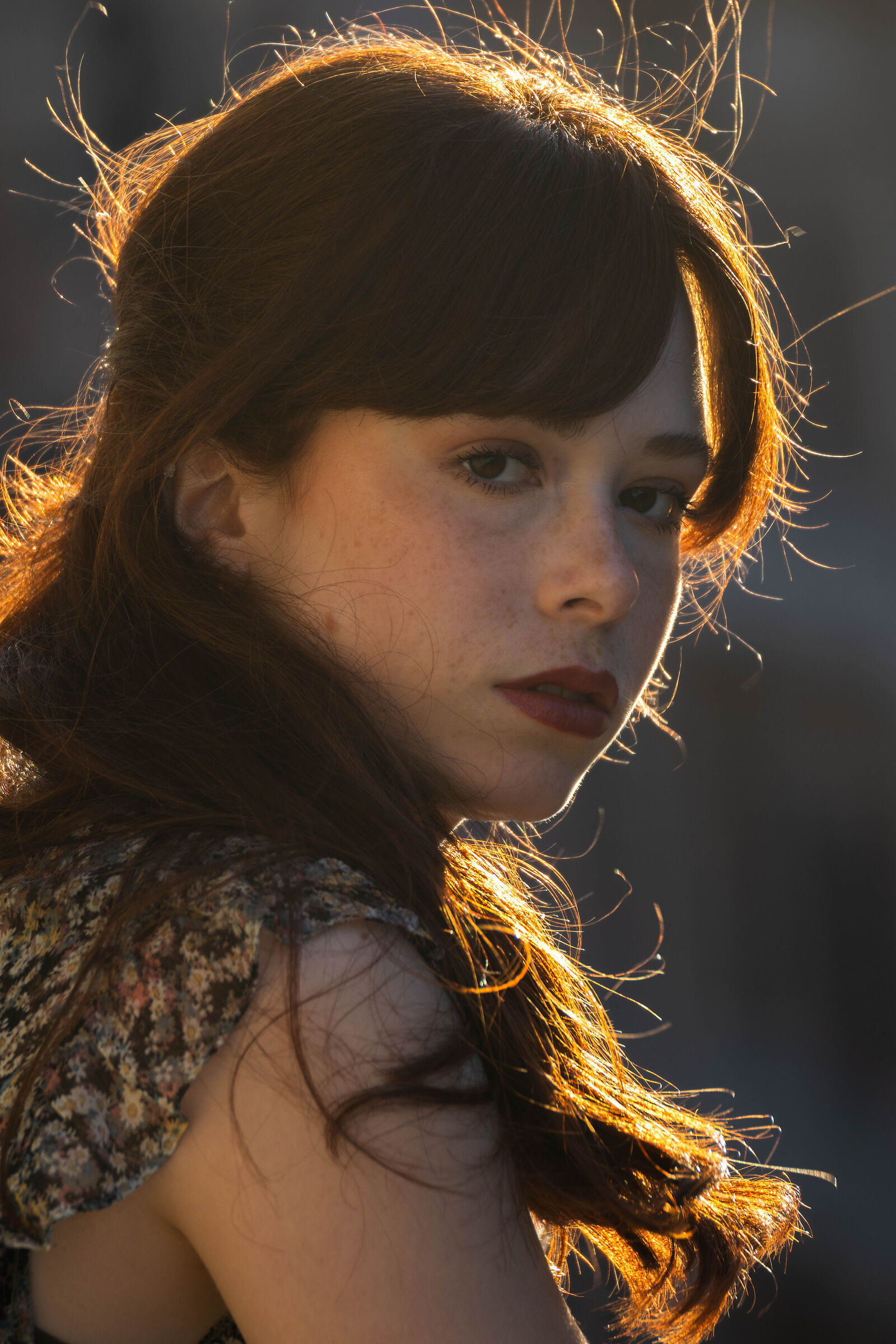 Golden hour in controluce