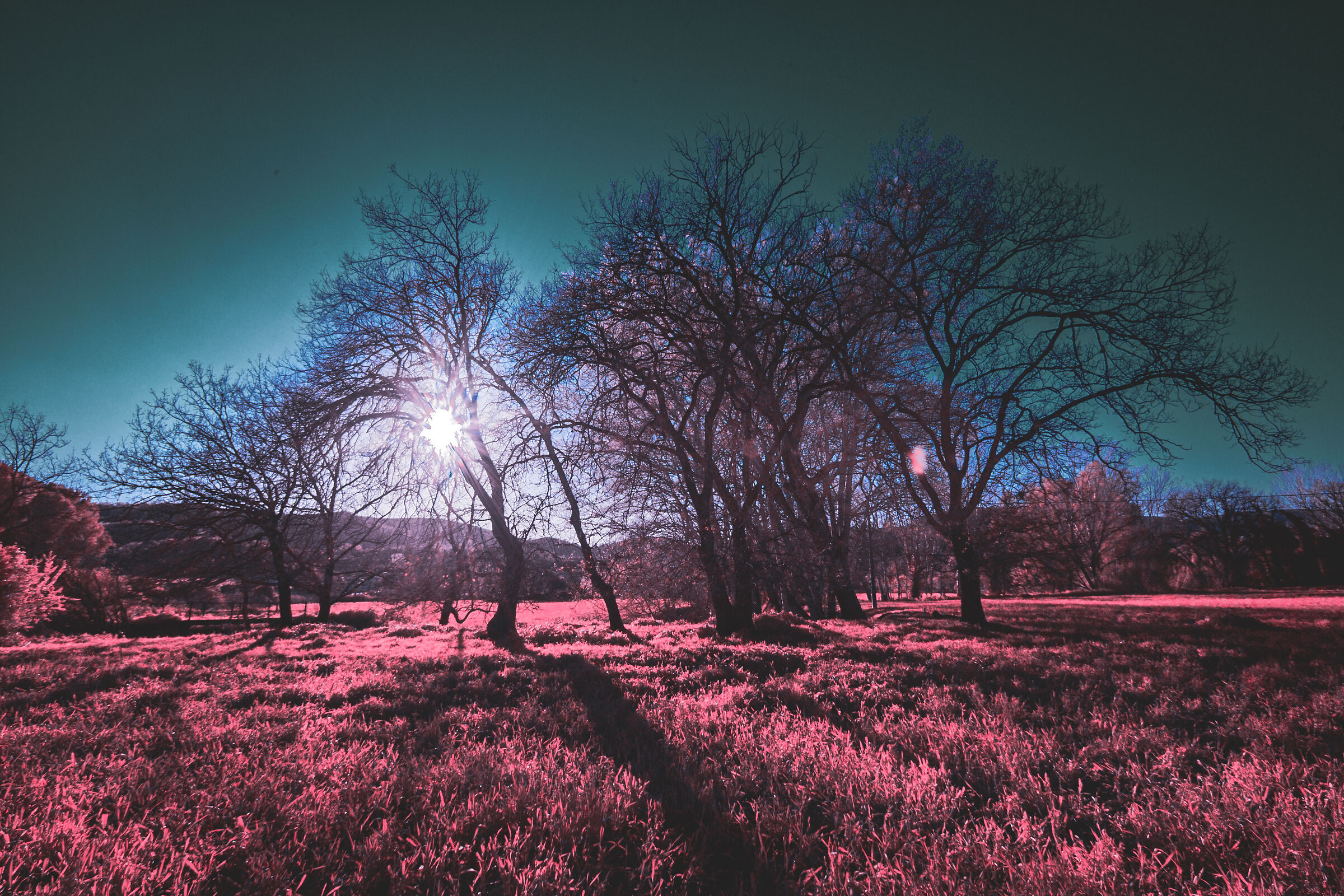 Infrared