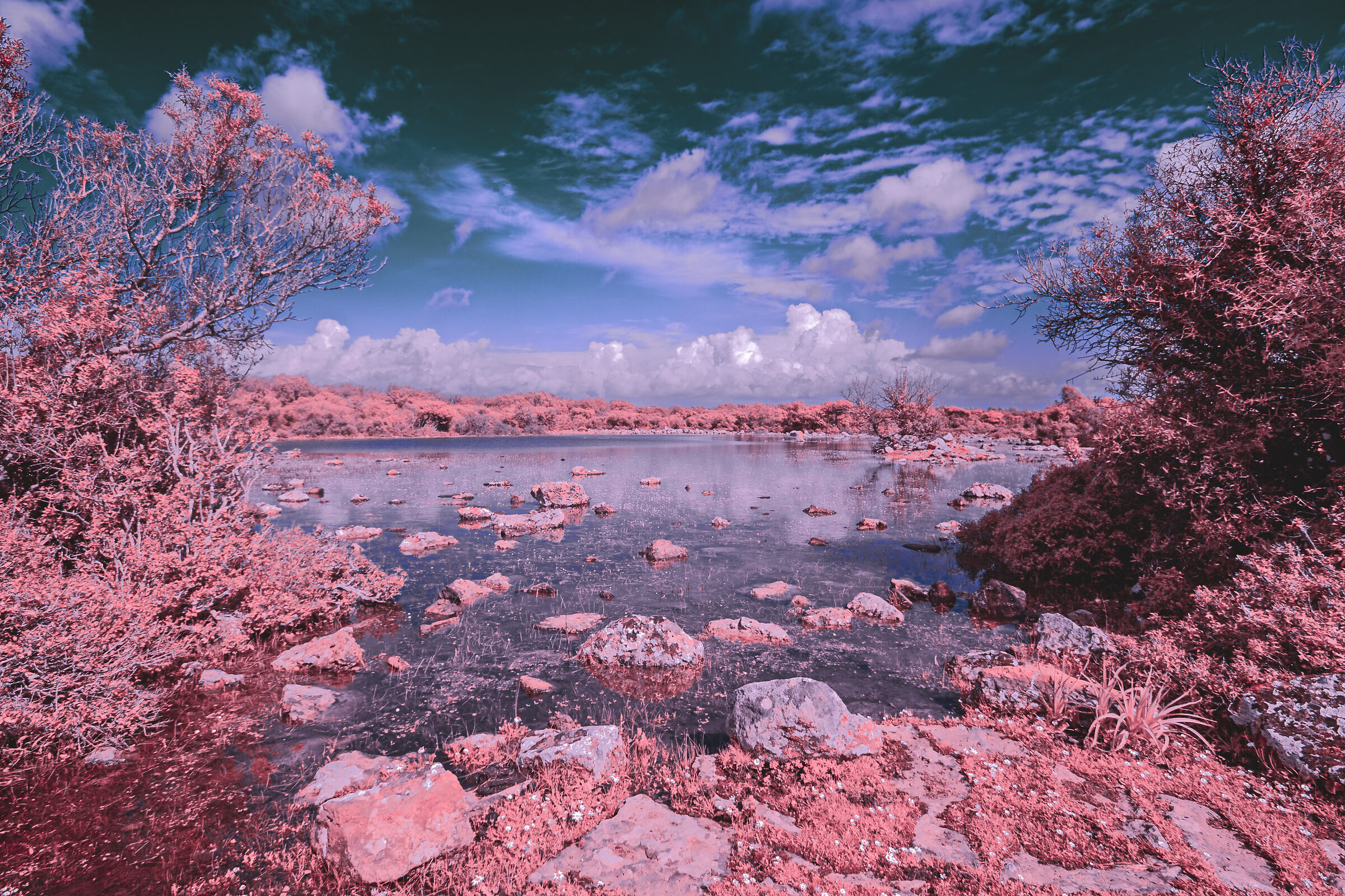 Infrared