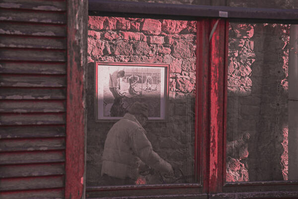 Foto