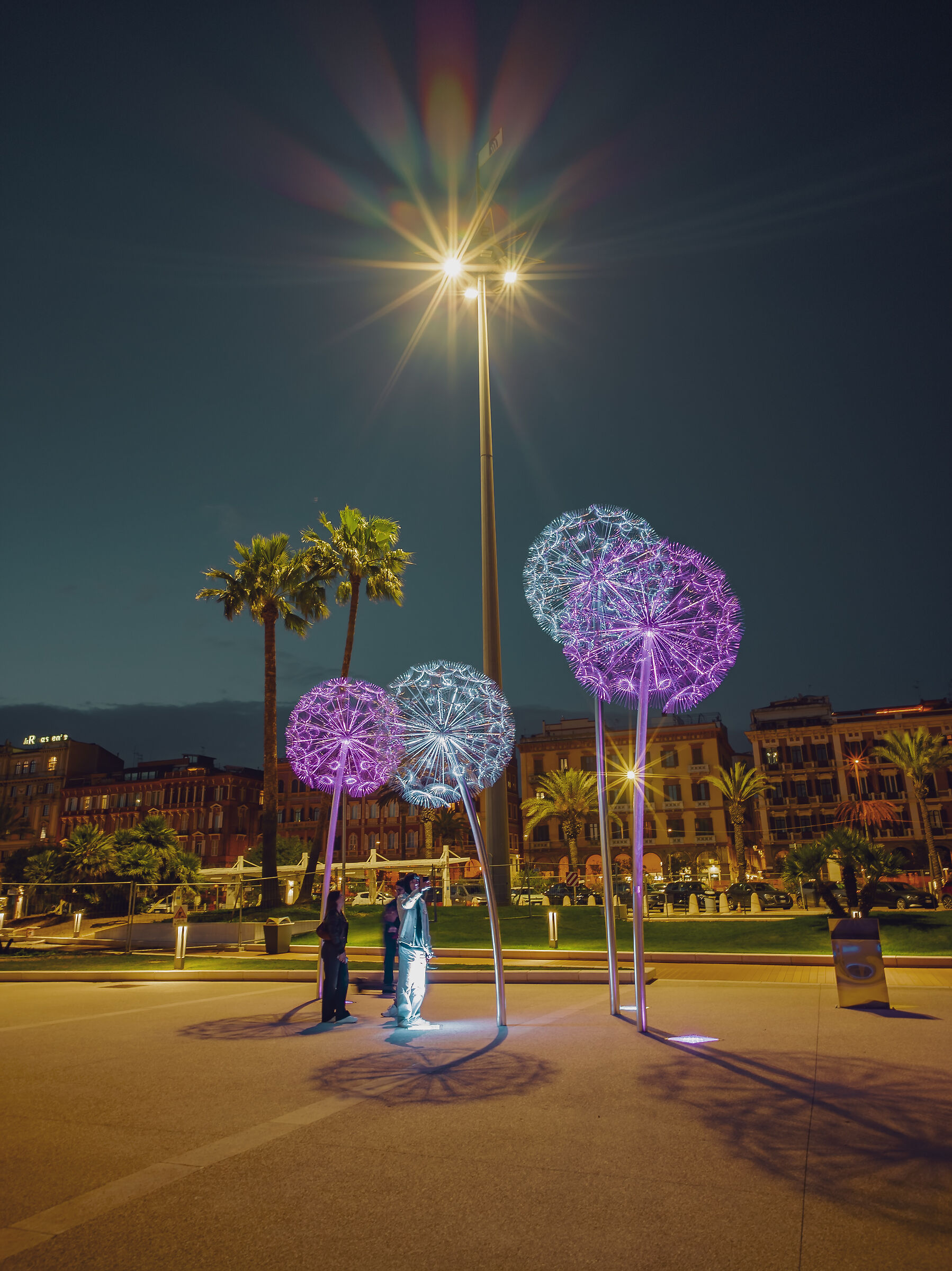 Dandelion Cagliari