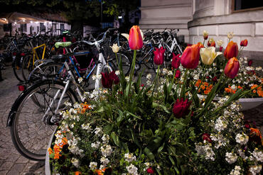 Bicicletta