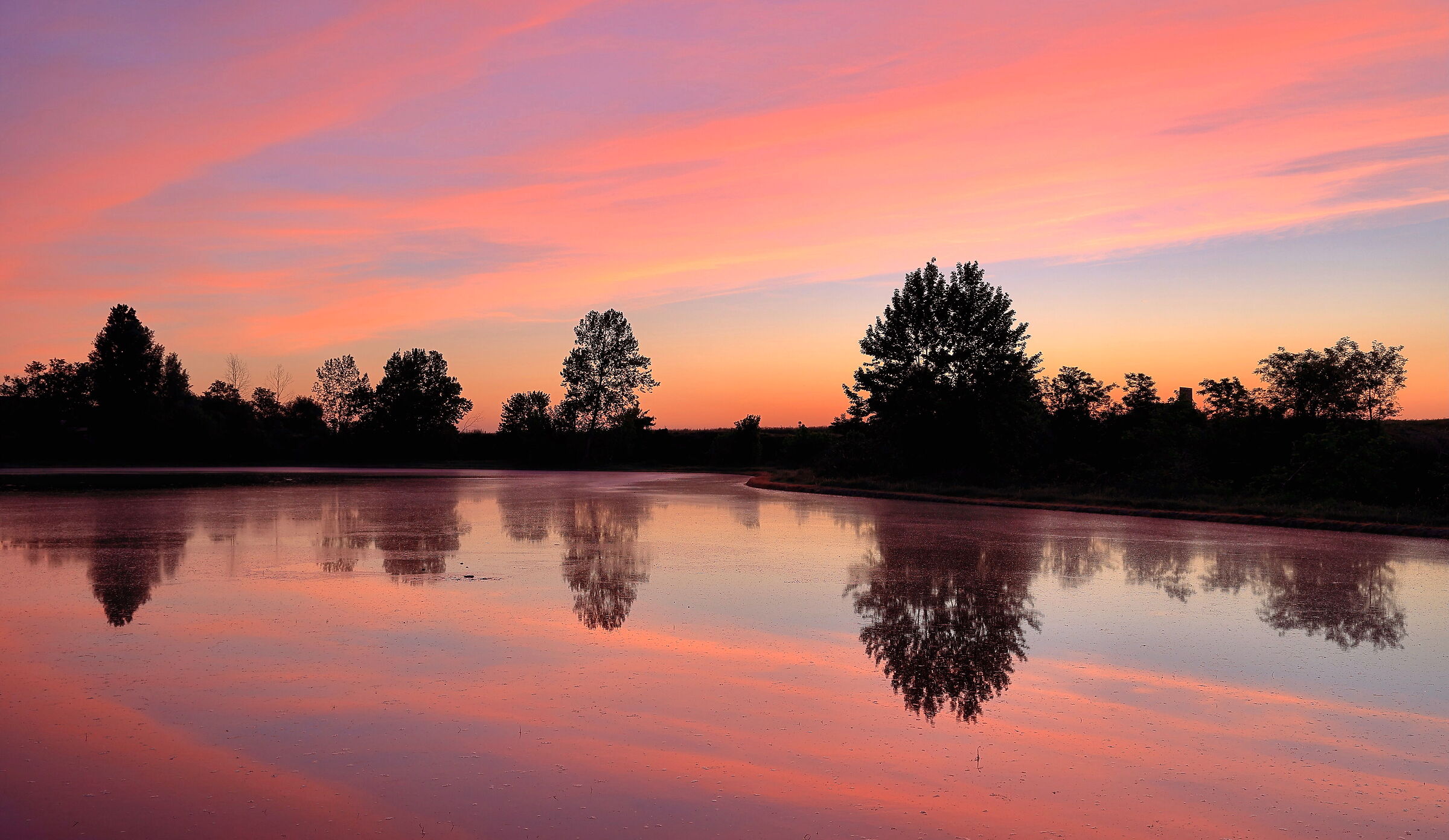 Pink fluid