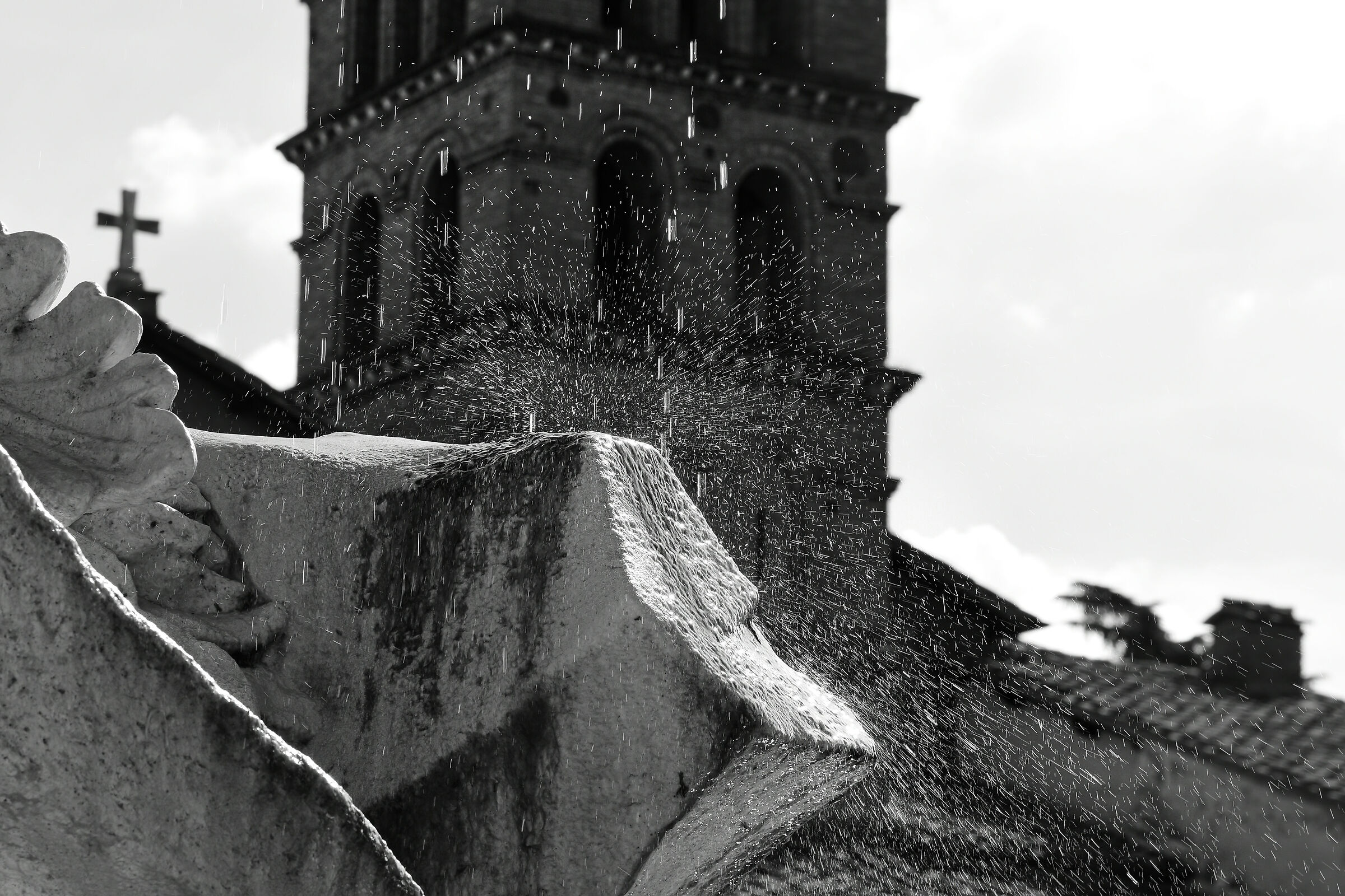 Untitled Photo