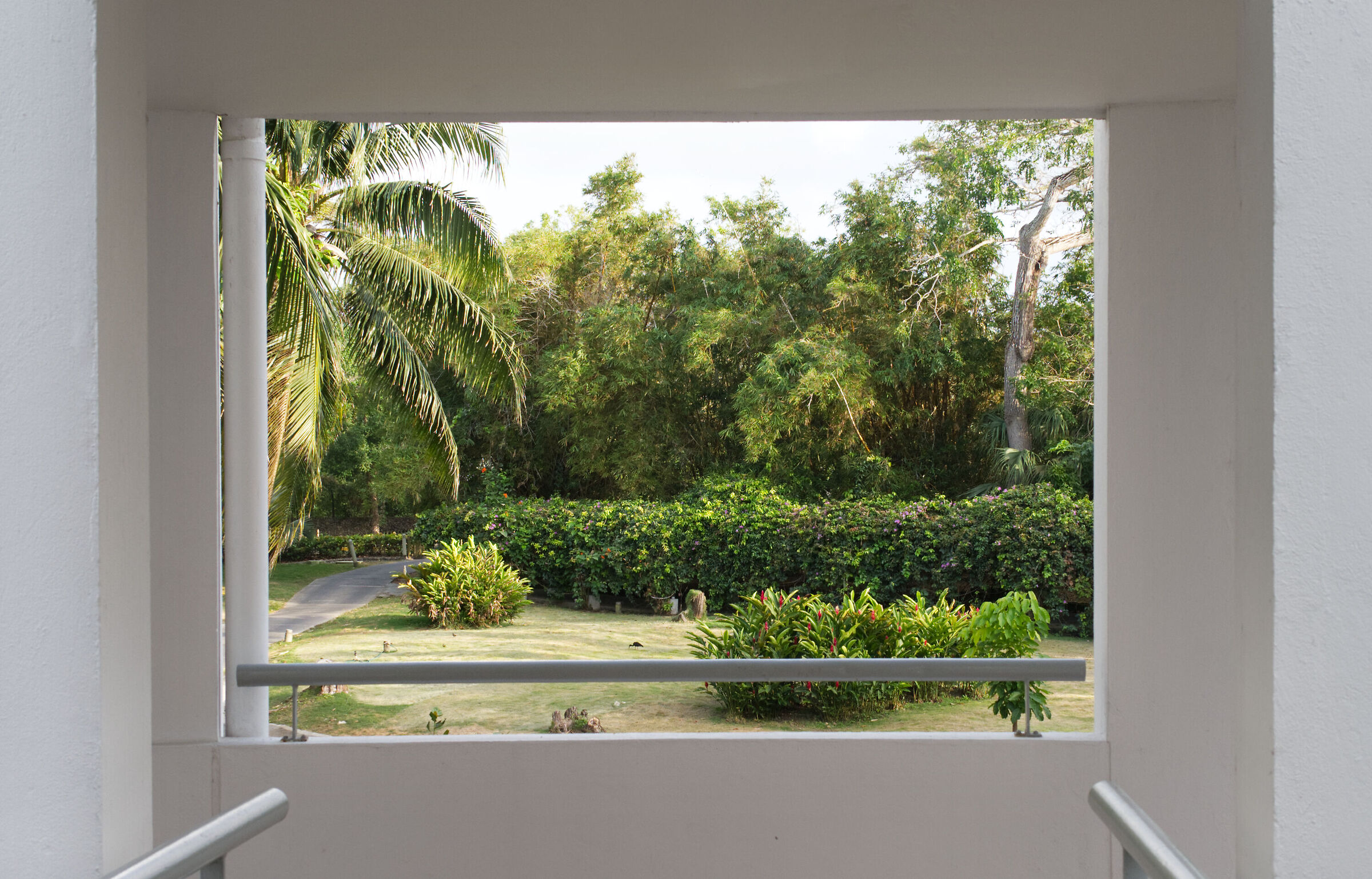 Vista giardino