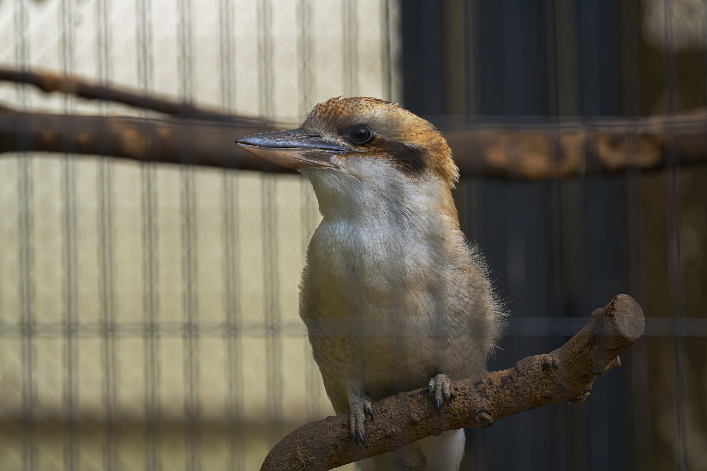 Zoo Edogawa