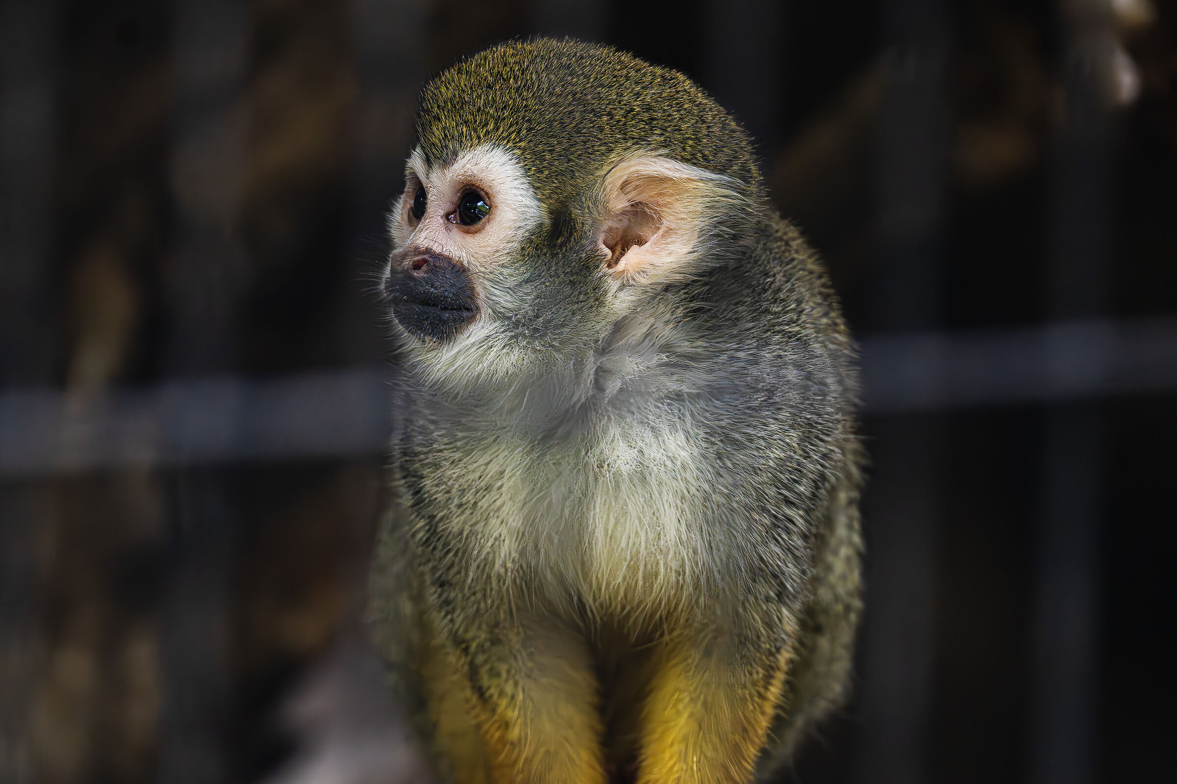 Zoo Edogawa