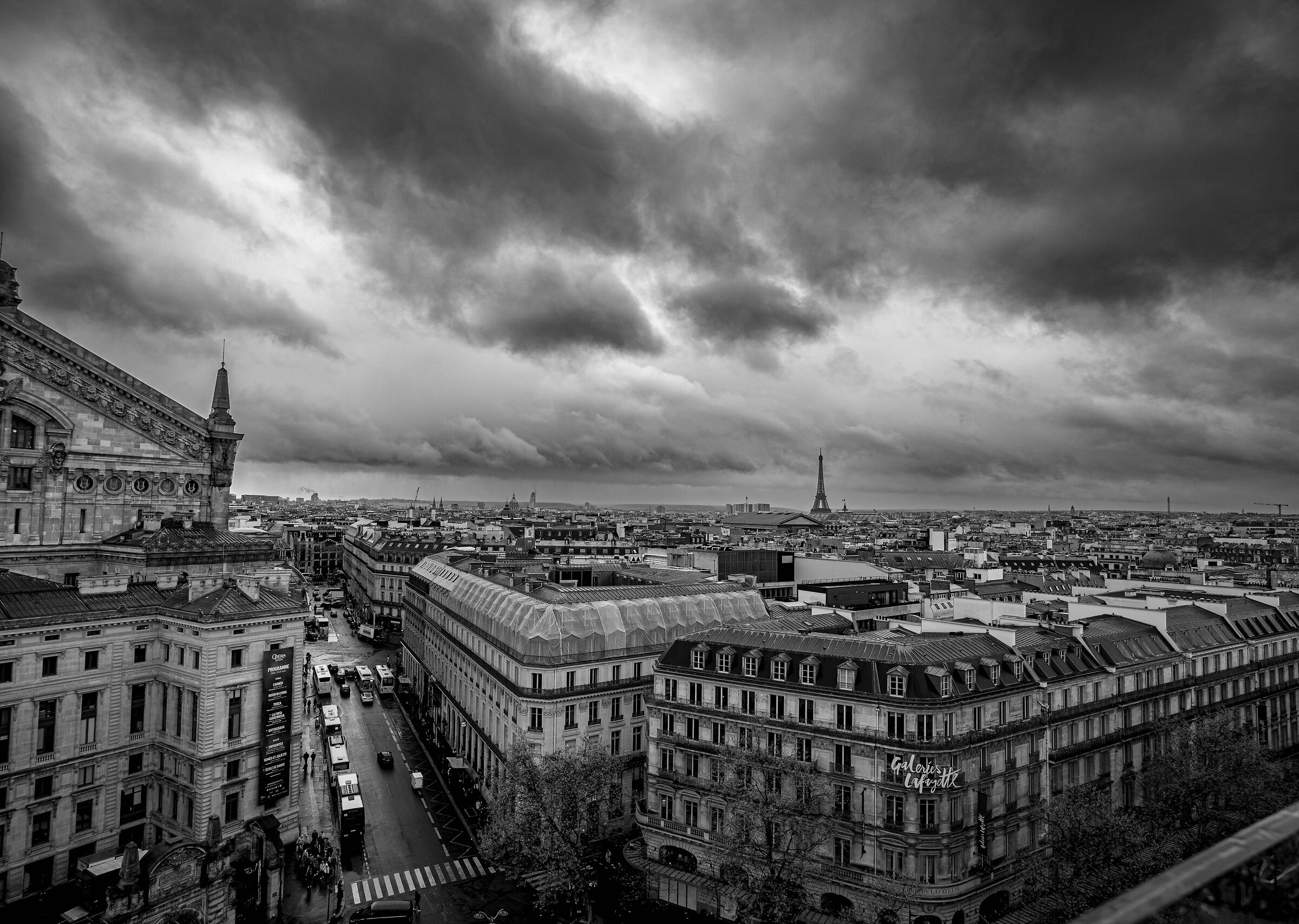 Untitled Photo