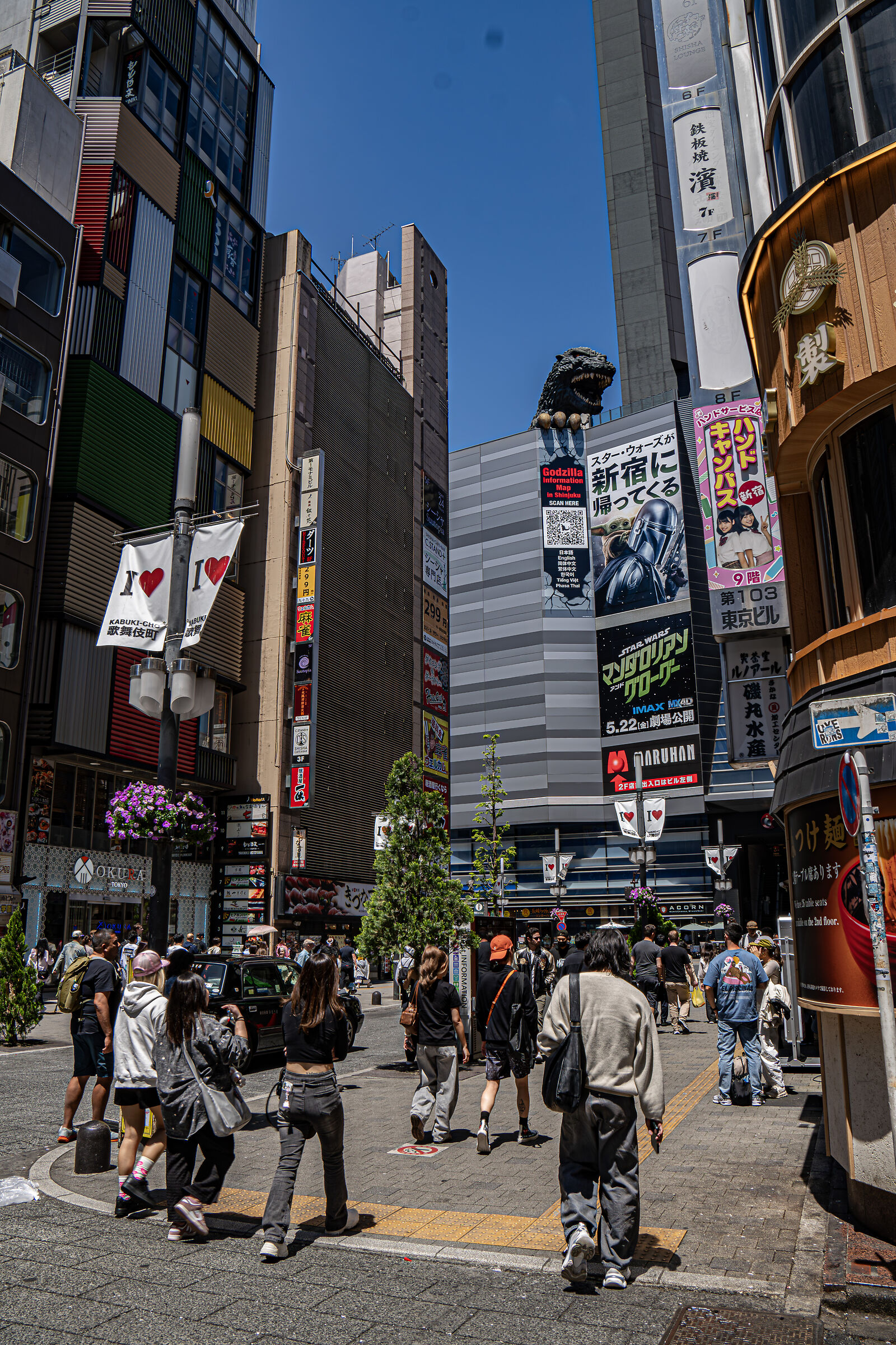Godzilla Tokyo