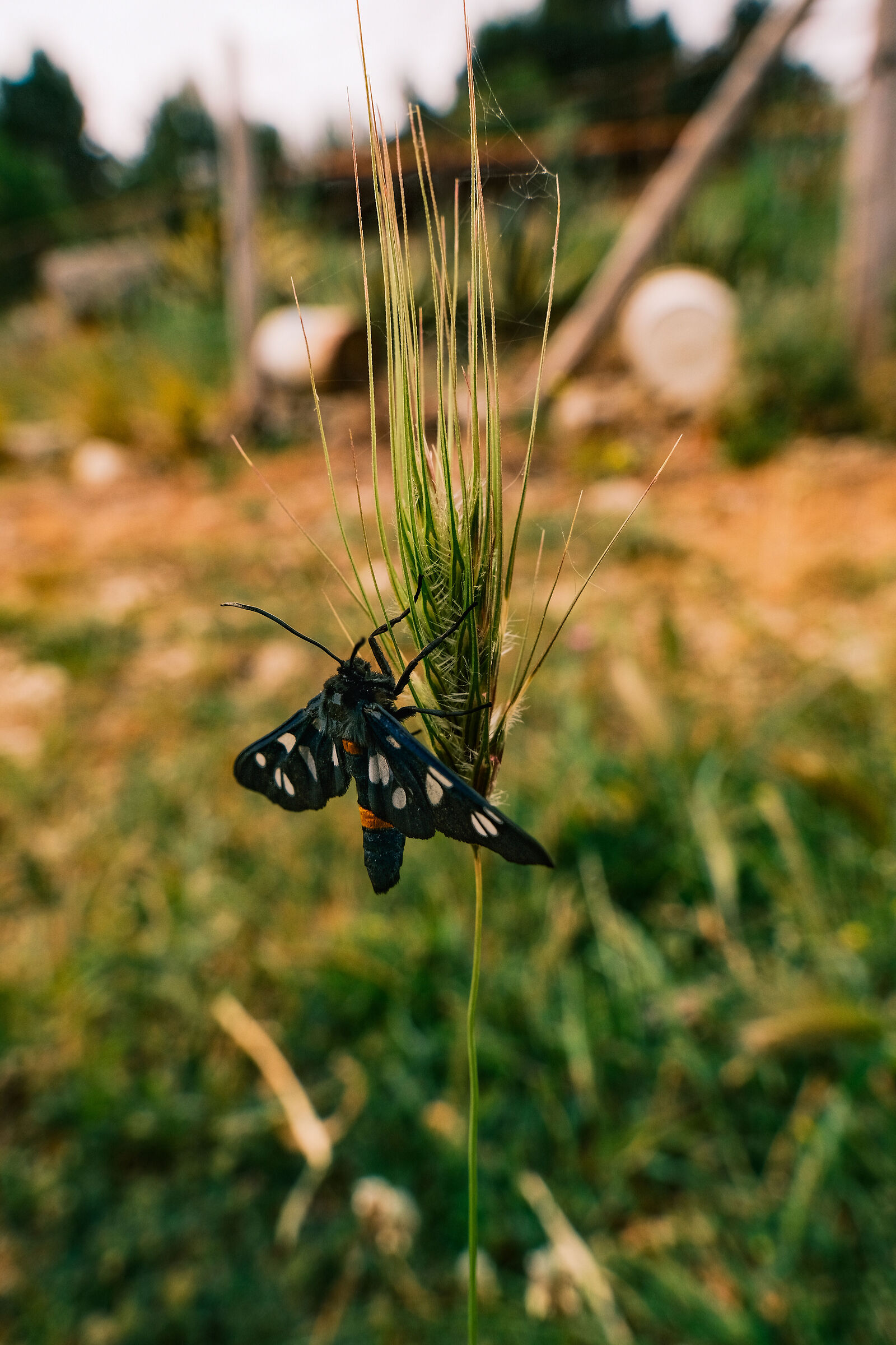 Untitled Photo