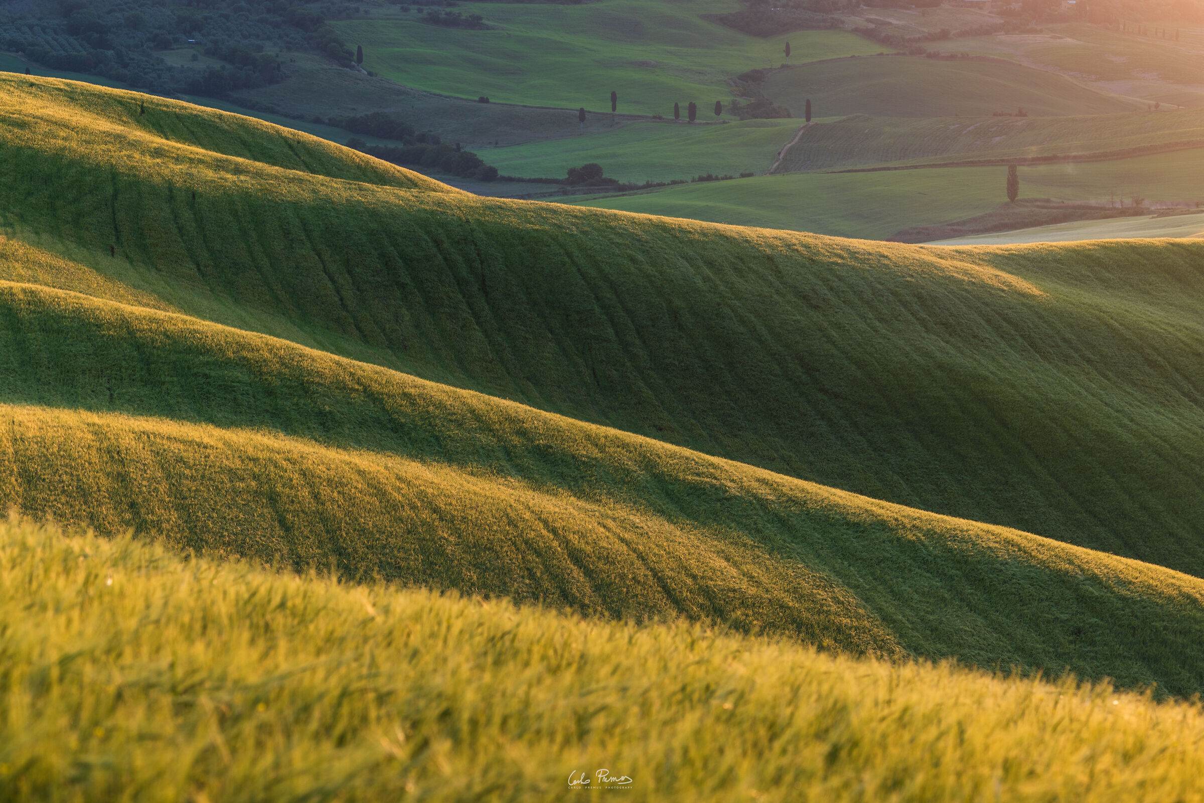 Da qualche parte in Val d'Orcia