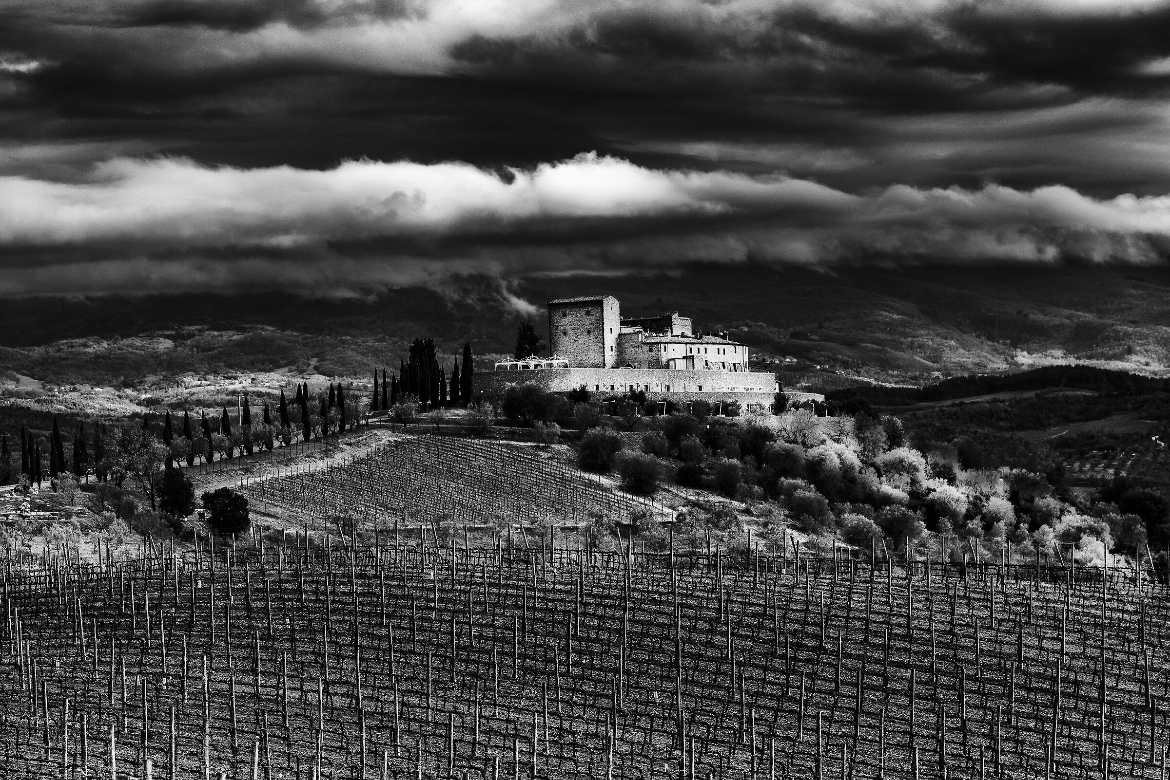 Vitigni toscani