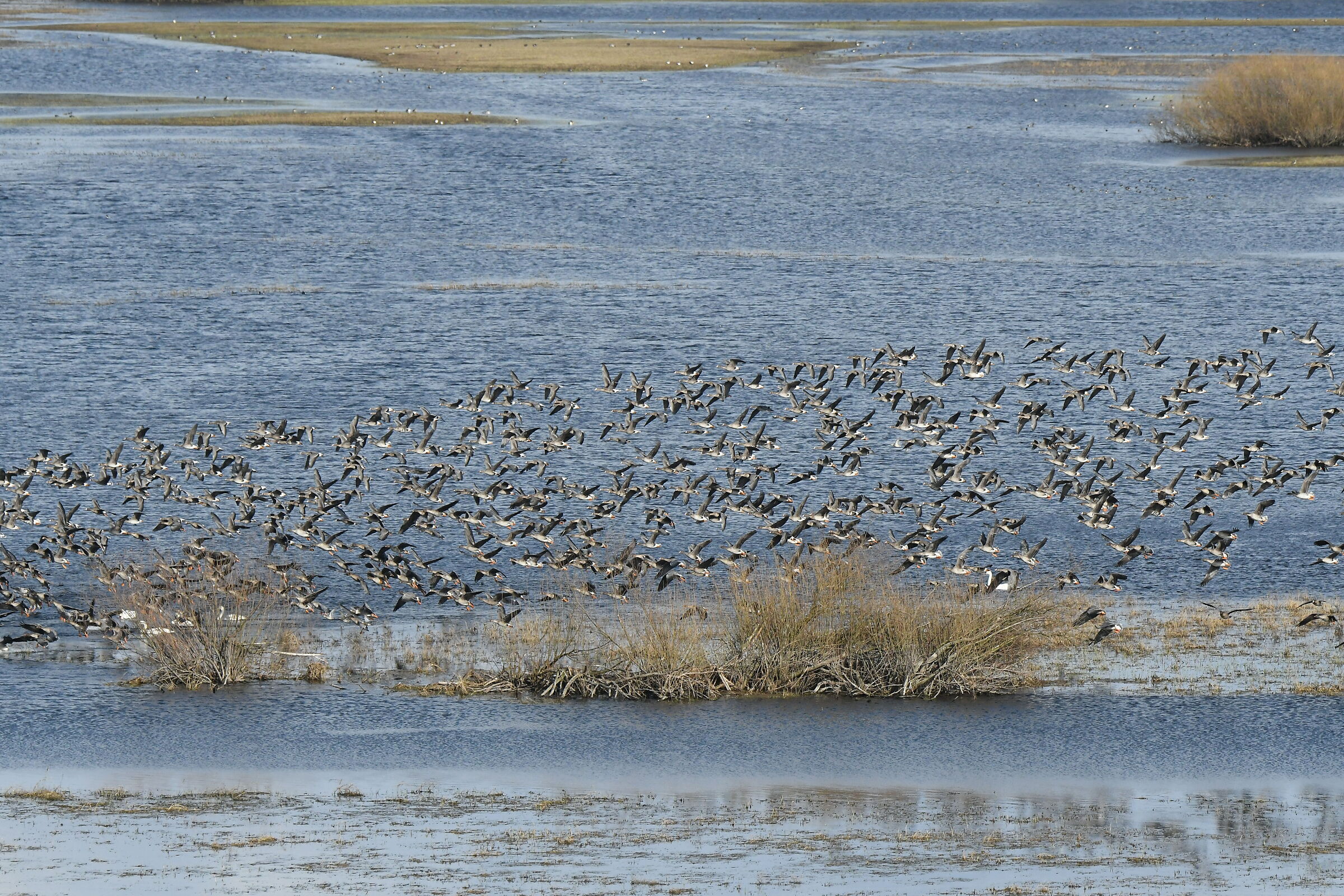 Biebrza National Park