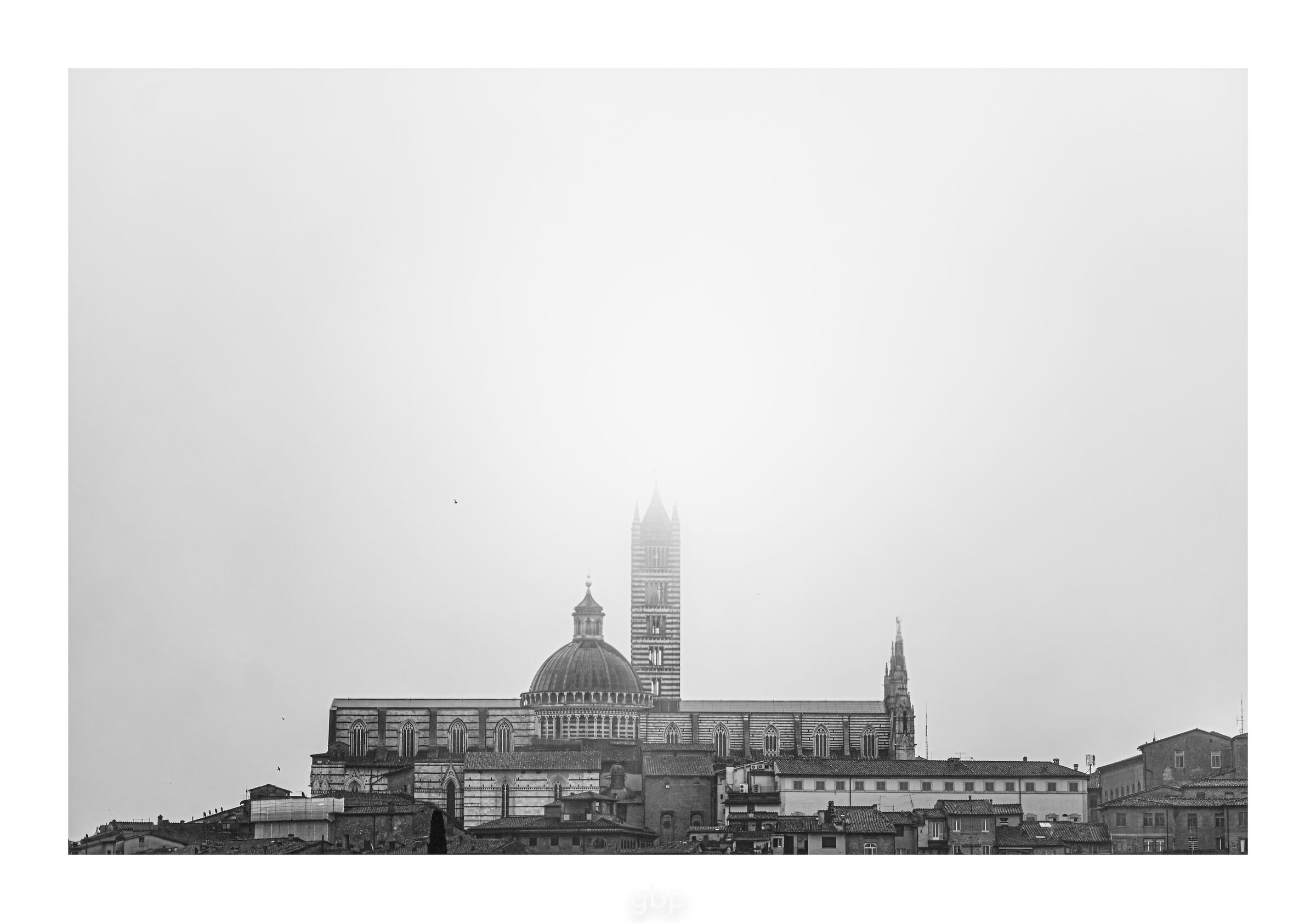 La mia Città con nebbia (e rondine)