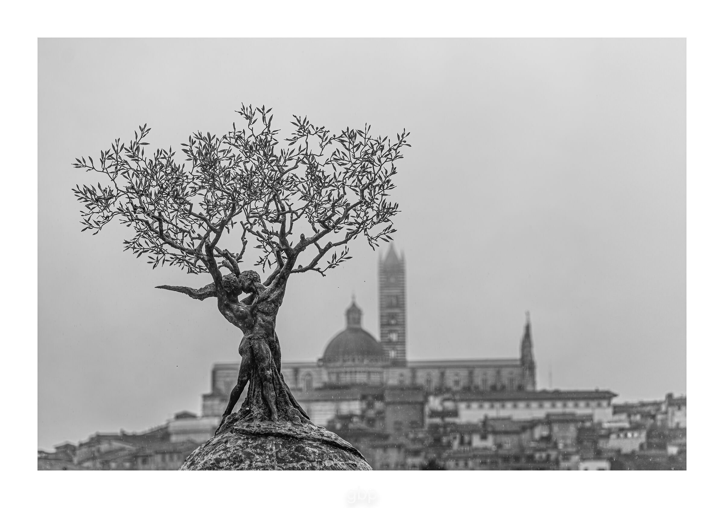 il bacio sotto la pioggia