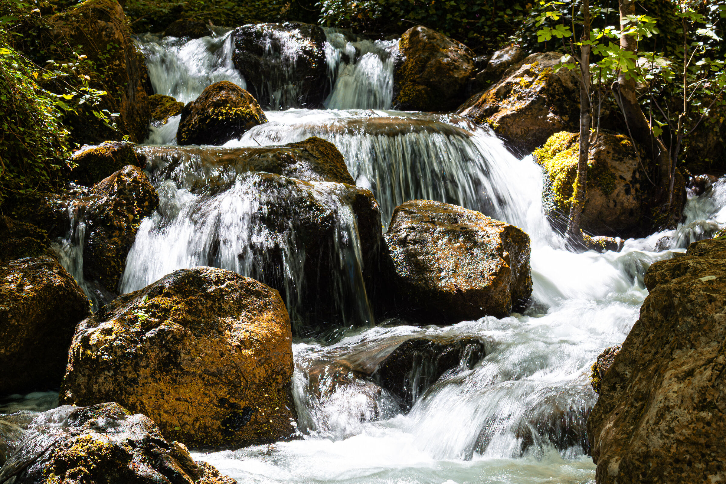 Sagittarius Gorges
