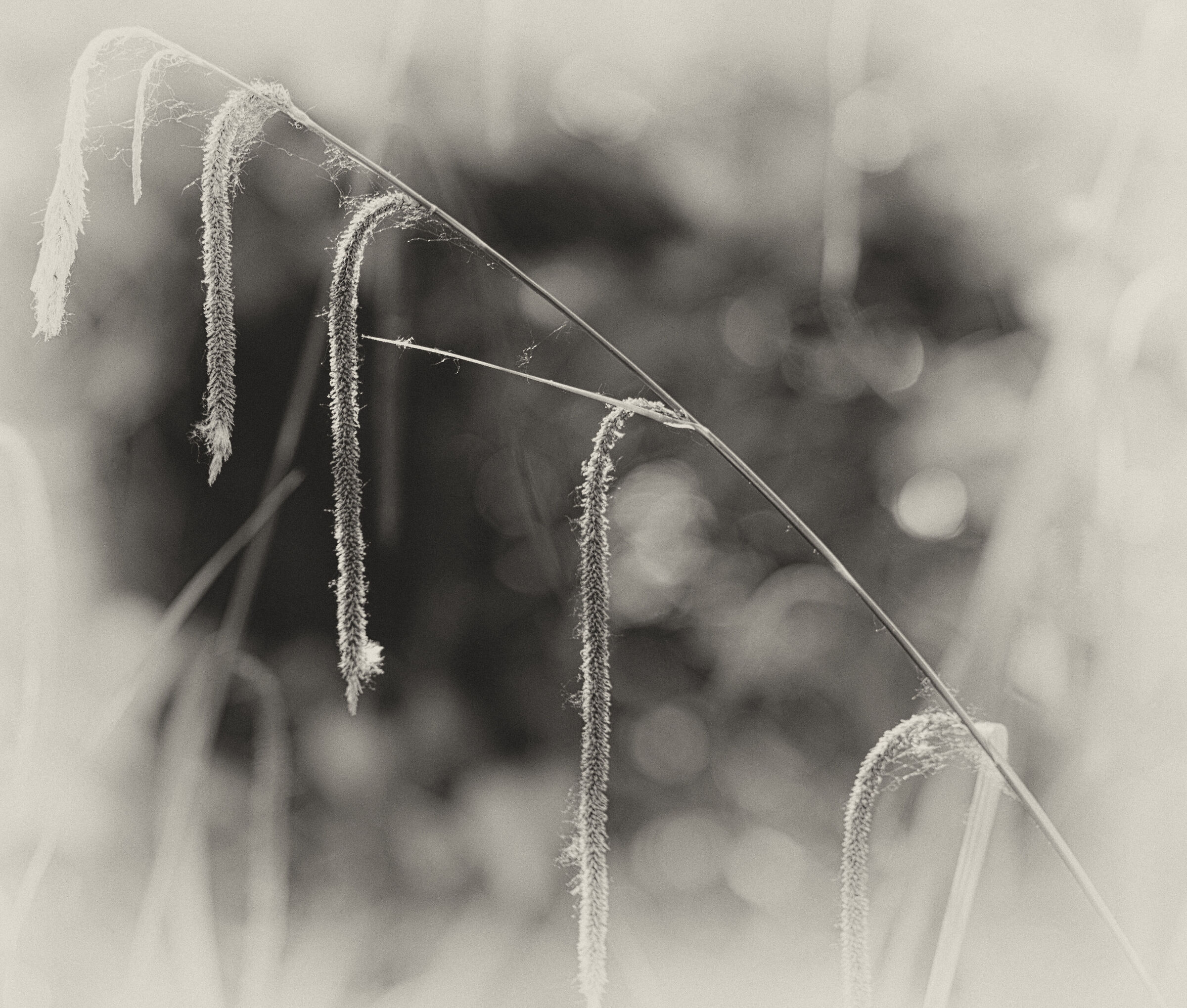 Untitled Photo