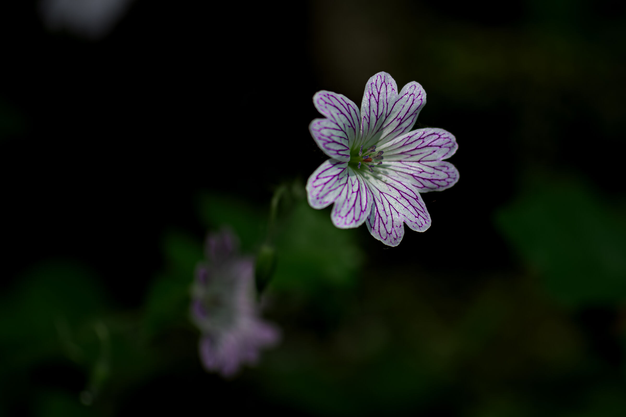 Untitled Photo