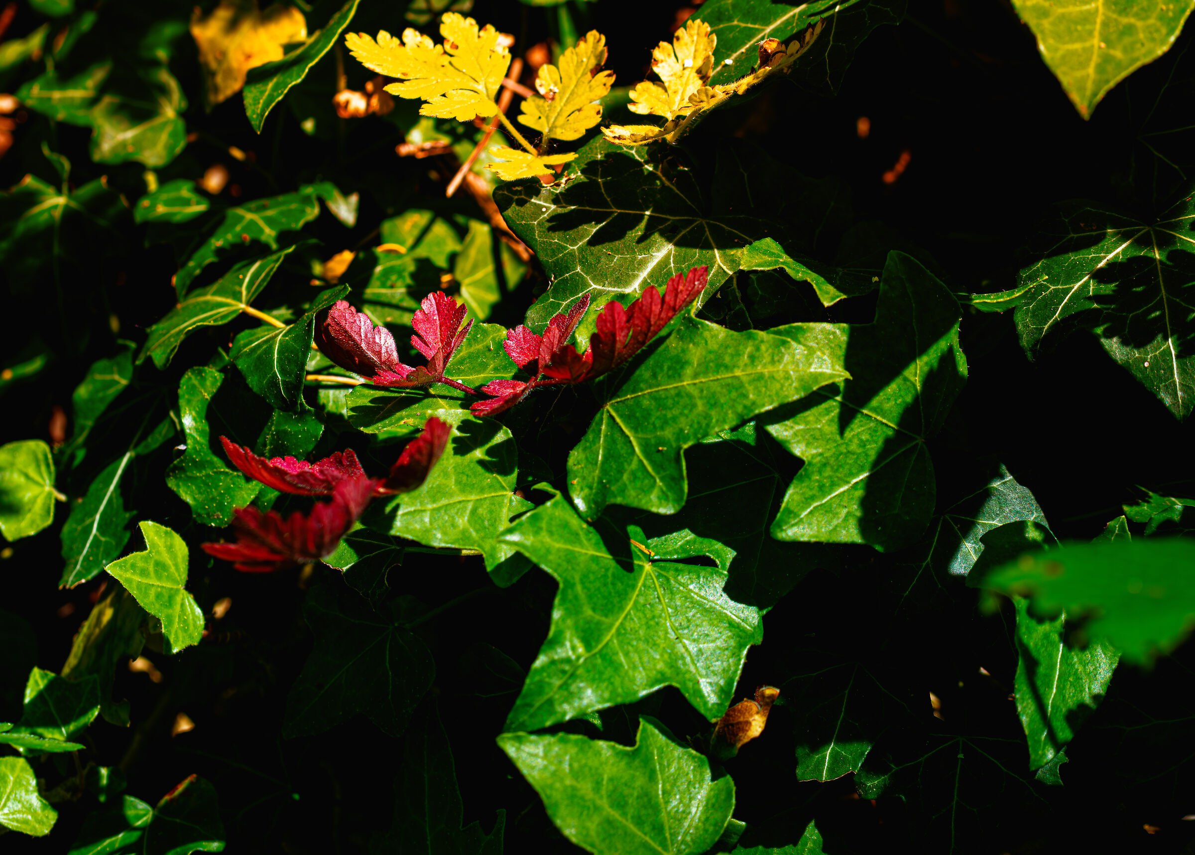 Untitled Photo