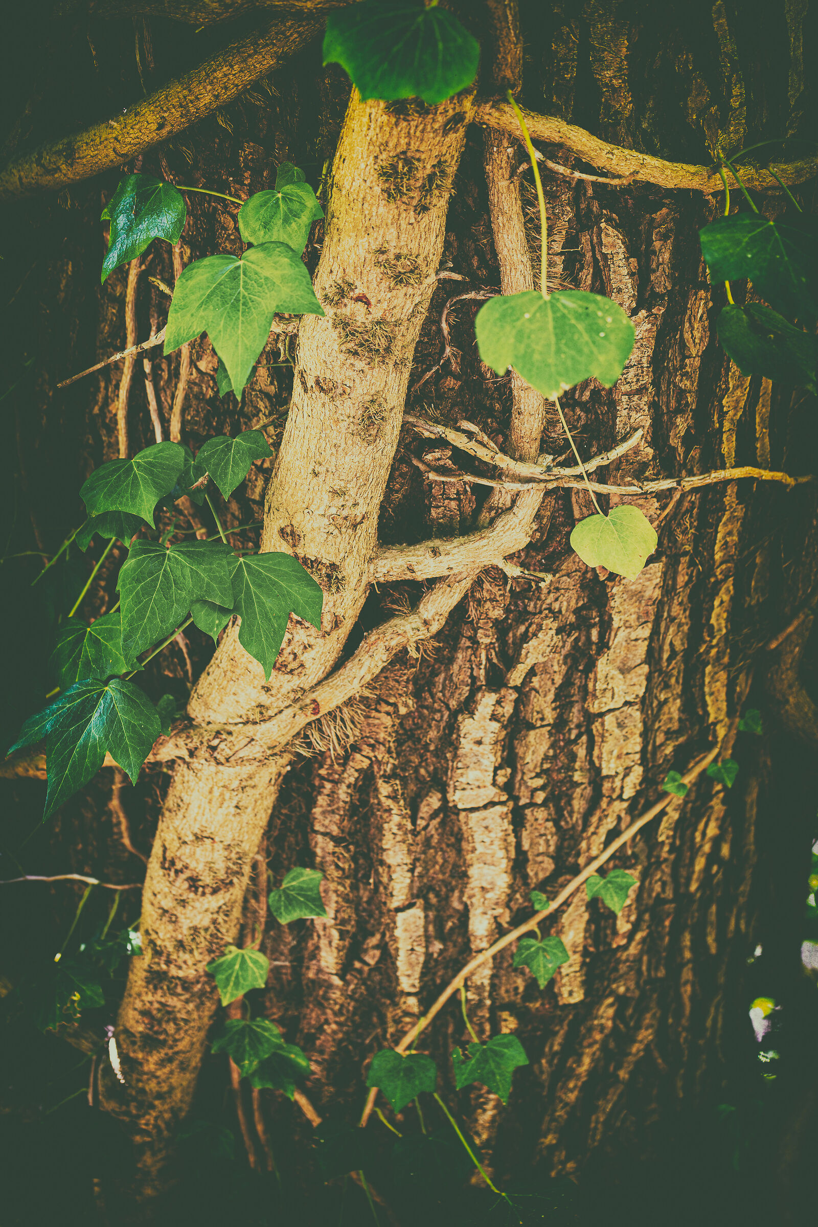 Untitled Photo