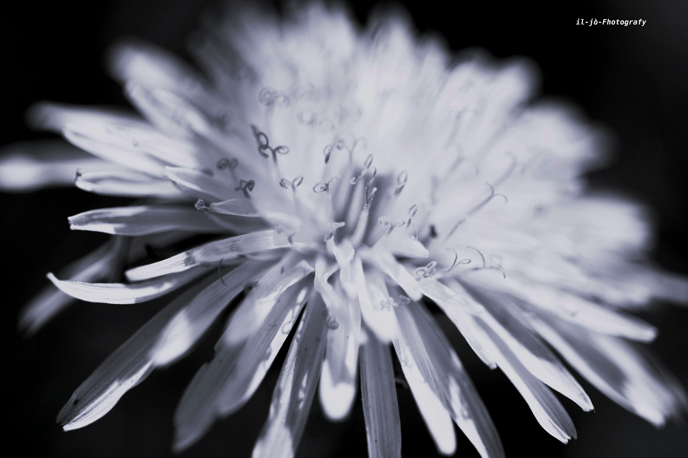 Untitled Photo