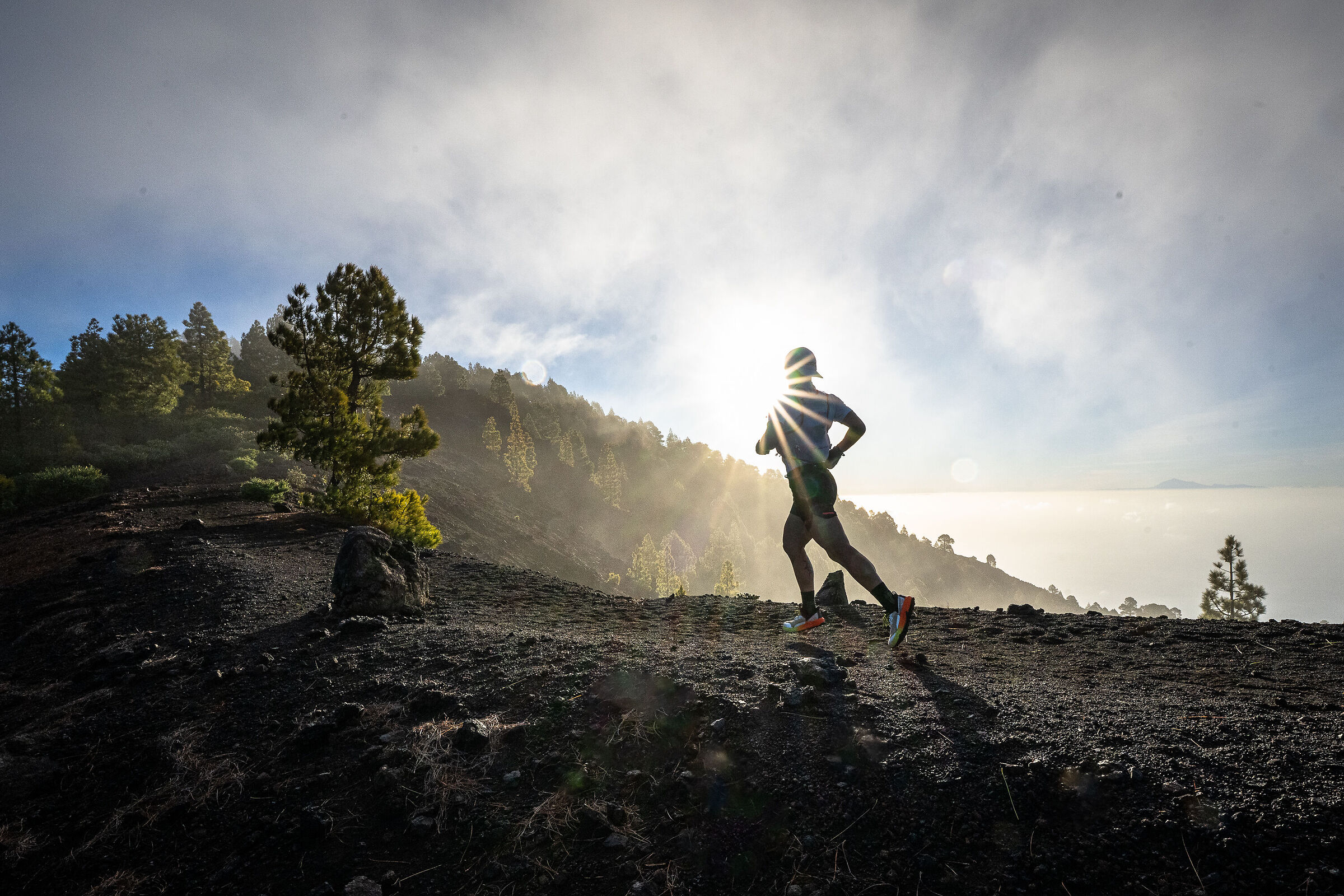 Transvulcania 2026 1