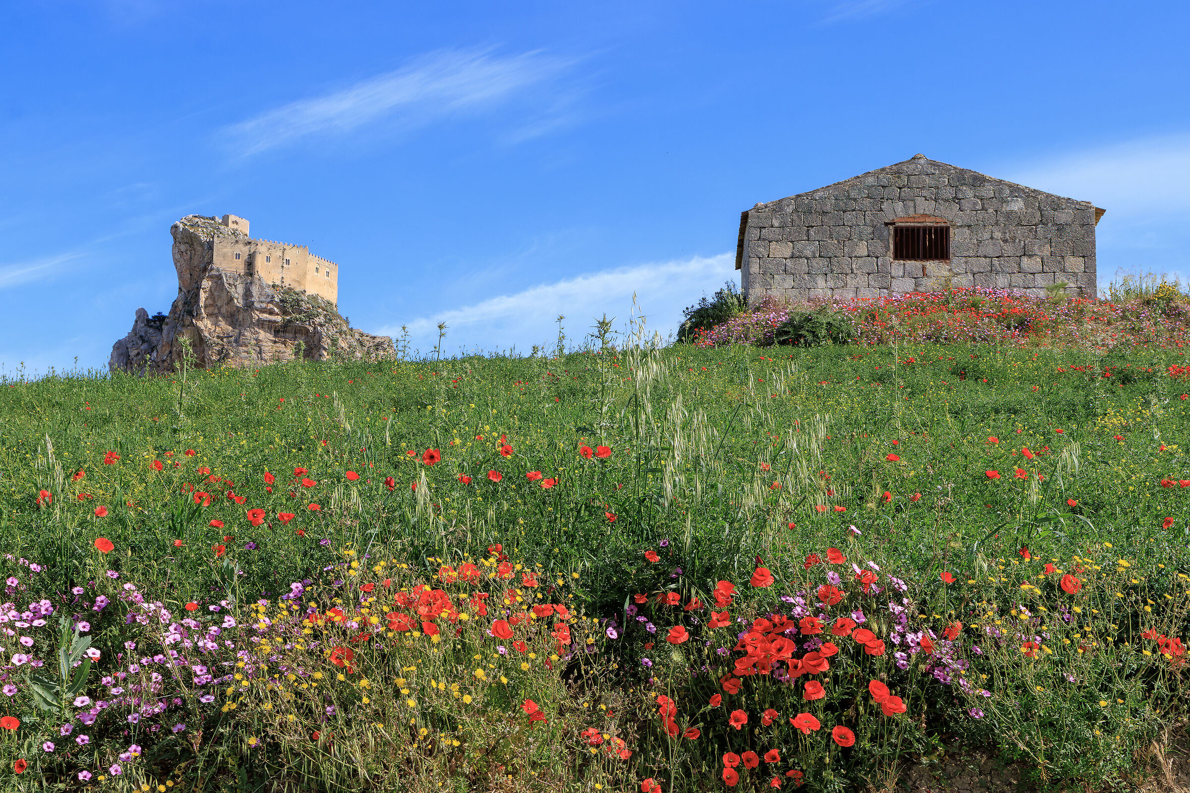 I colori della primavera