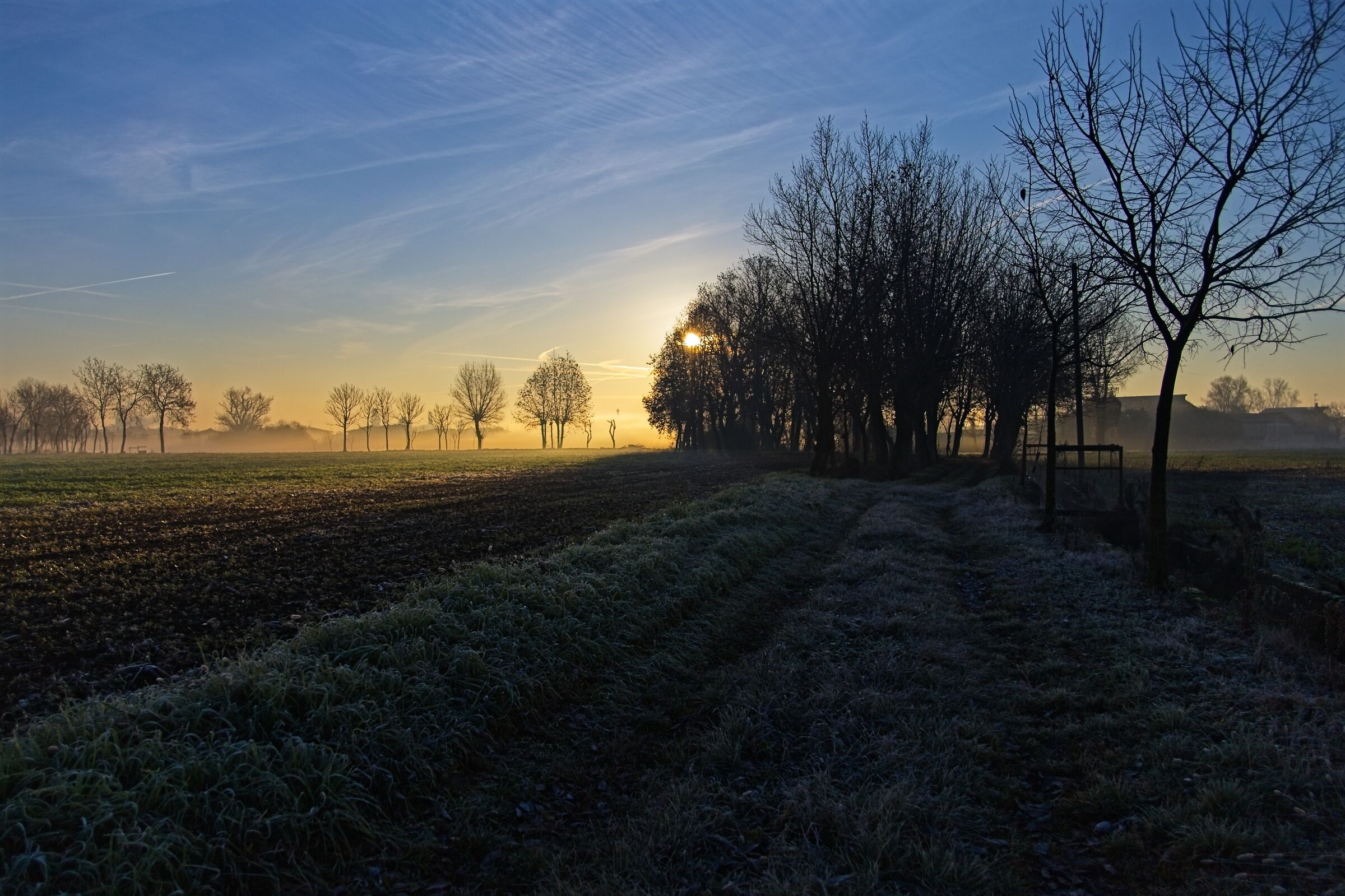 Countryside in the morning