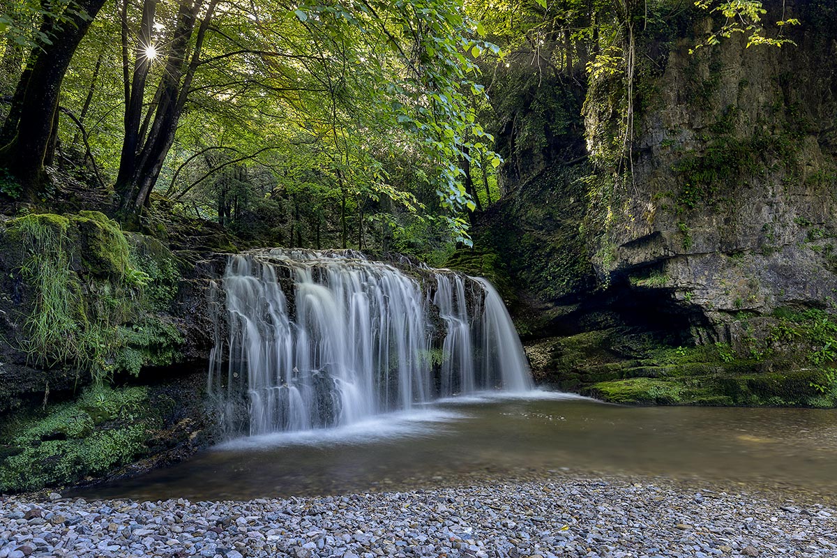 Il respiro del bosco