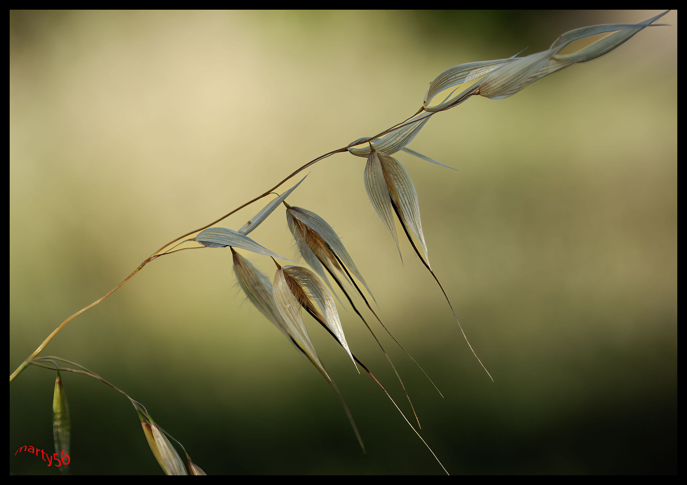 [LOADING...]