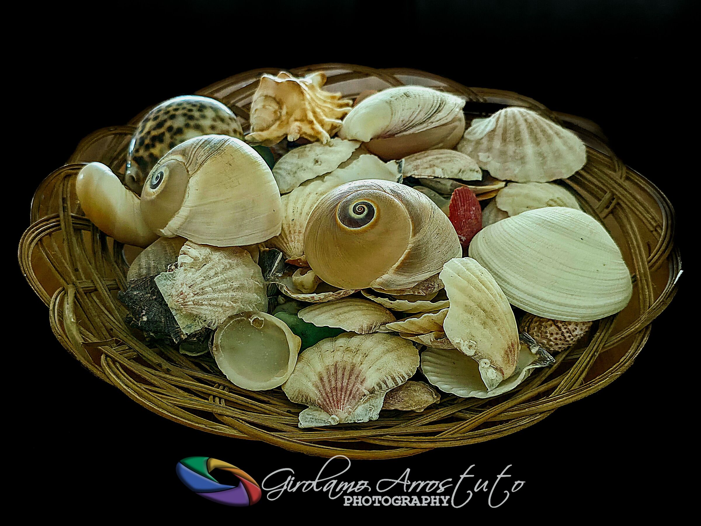 Shells