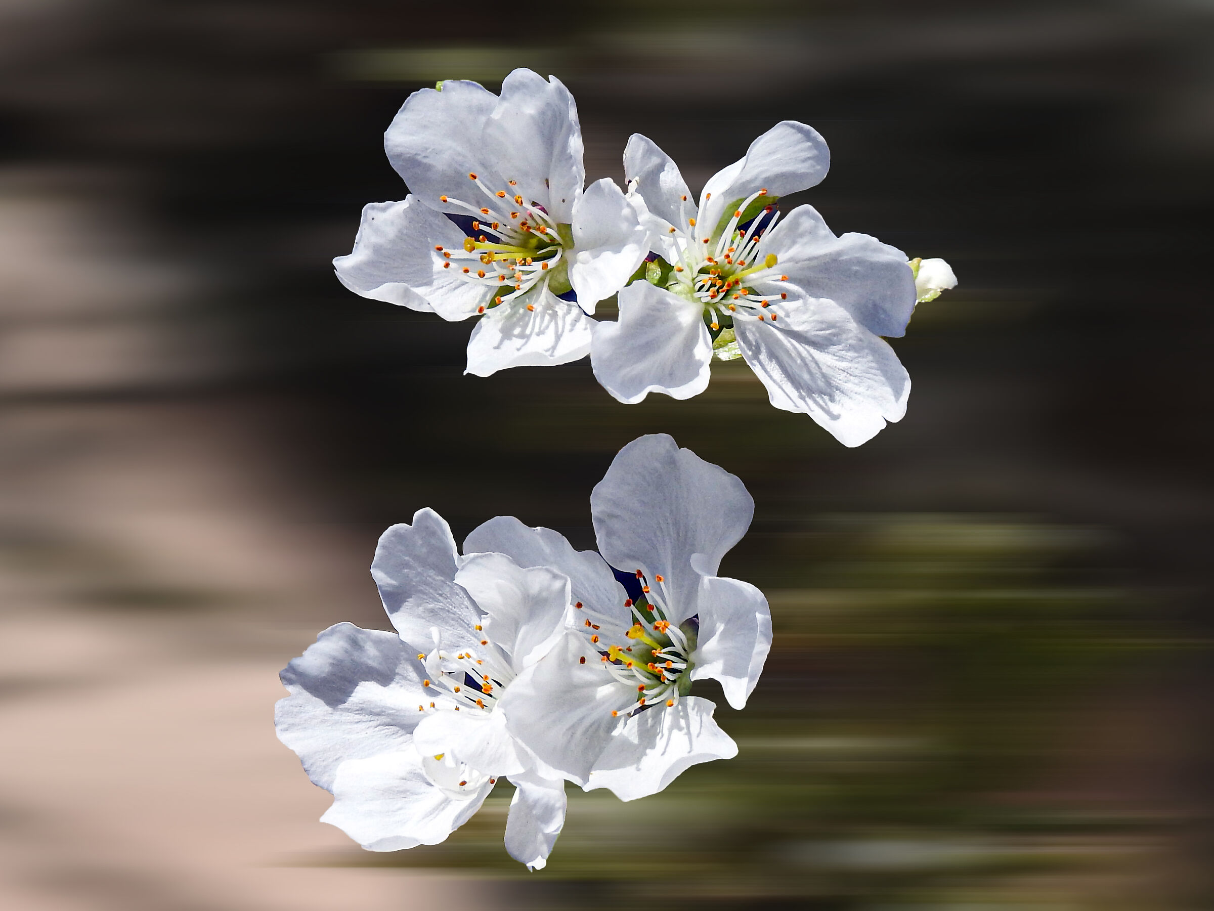 Untitled Photo