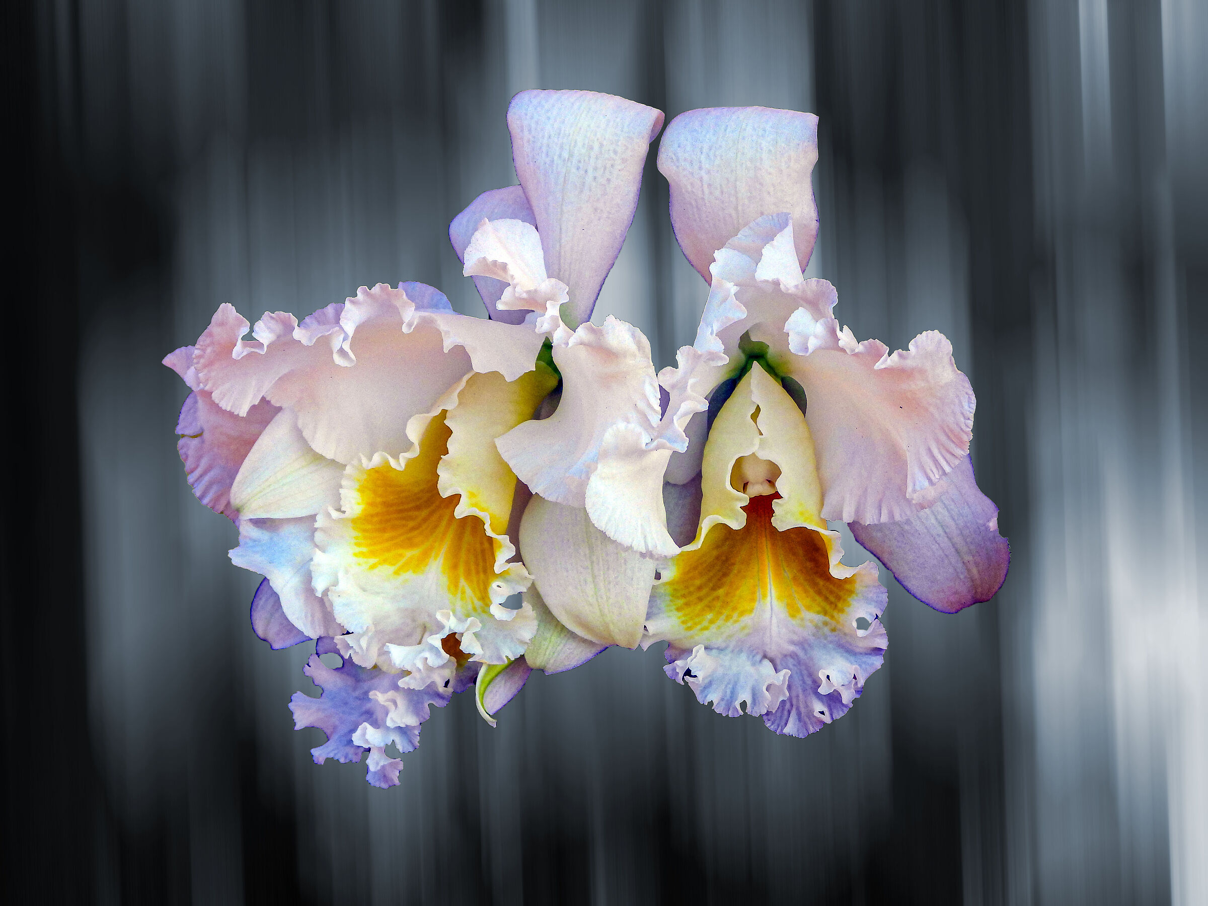 Untitled Photo