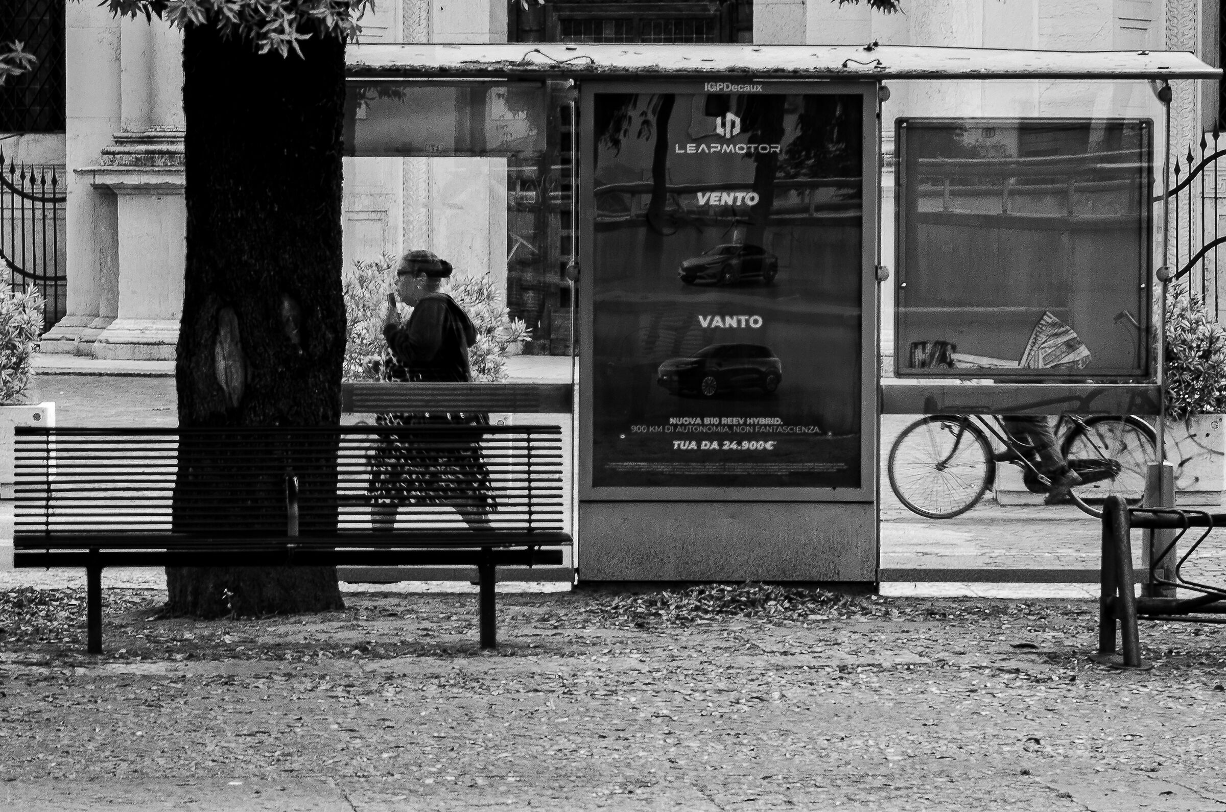 Untitled Photo