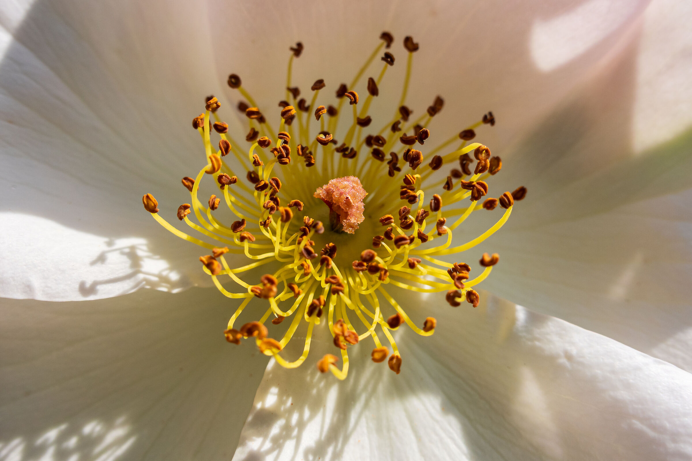 Untitled Photo