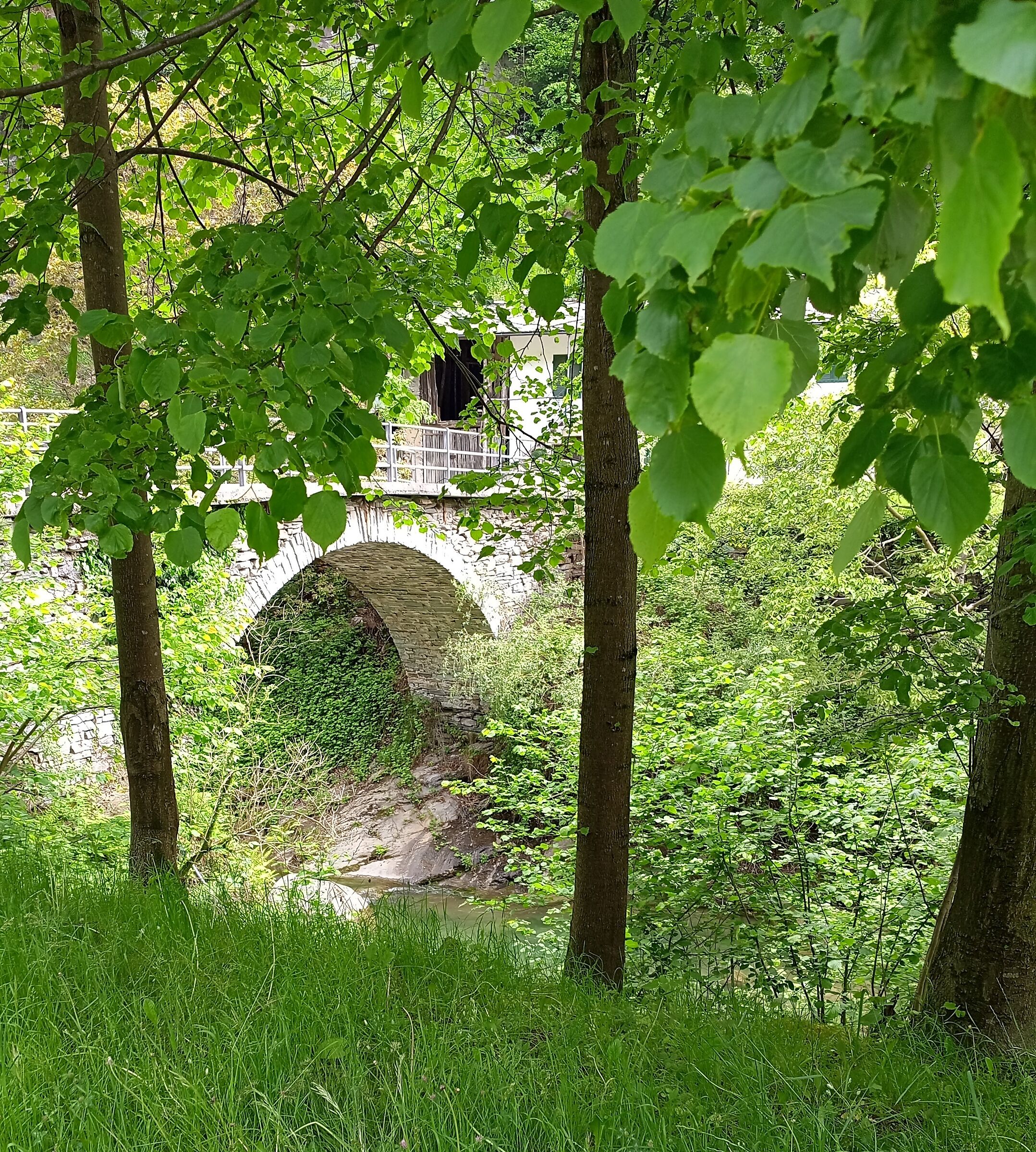 Ponte montano
