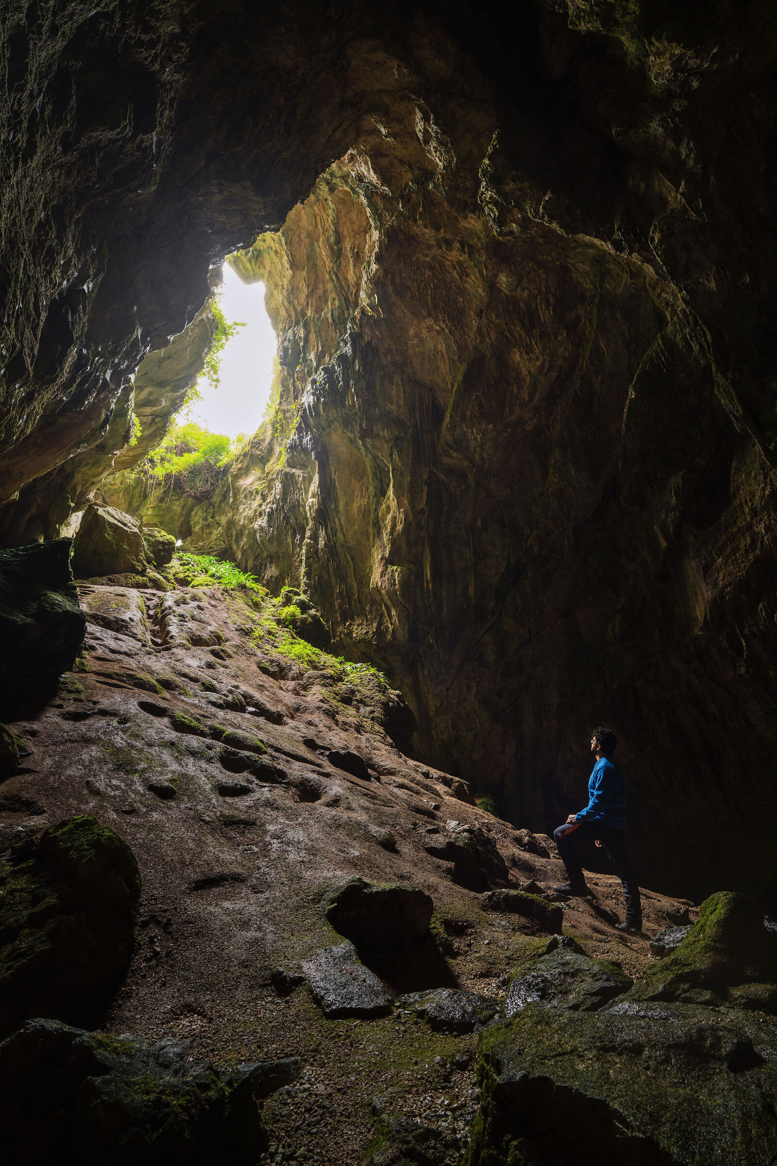 In the Cave