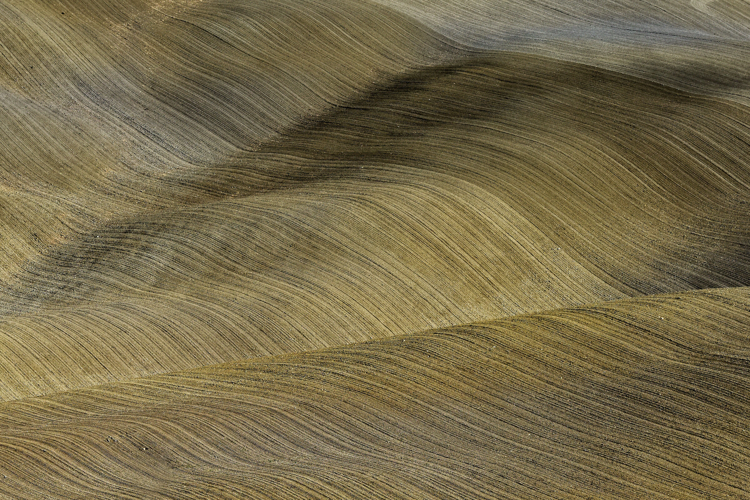 Tuscan carpet.