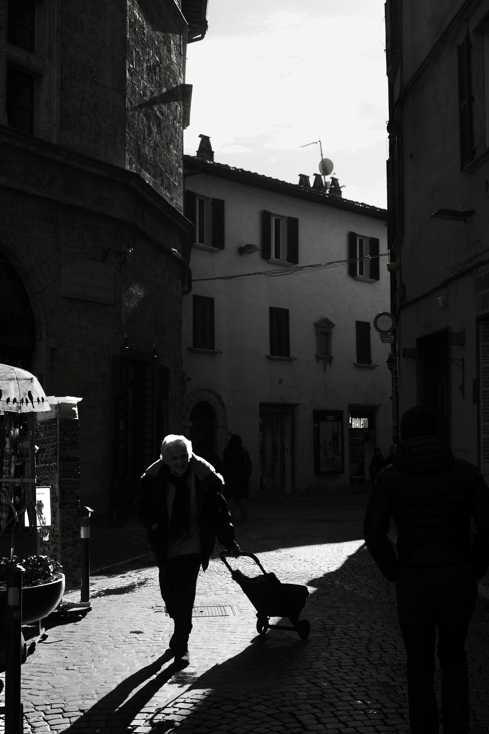 Lady in the Shadows