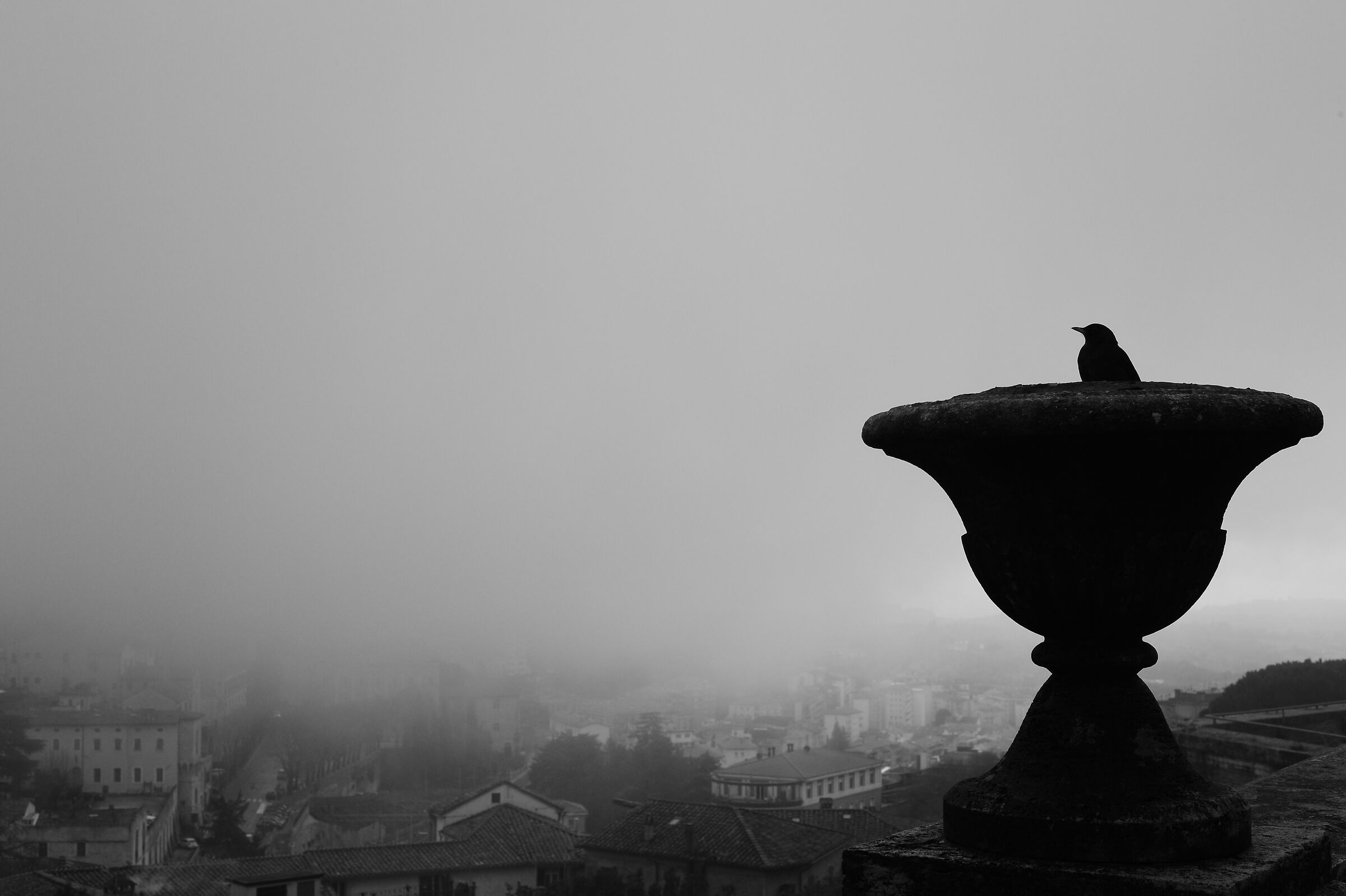 The Raven