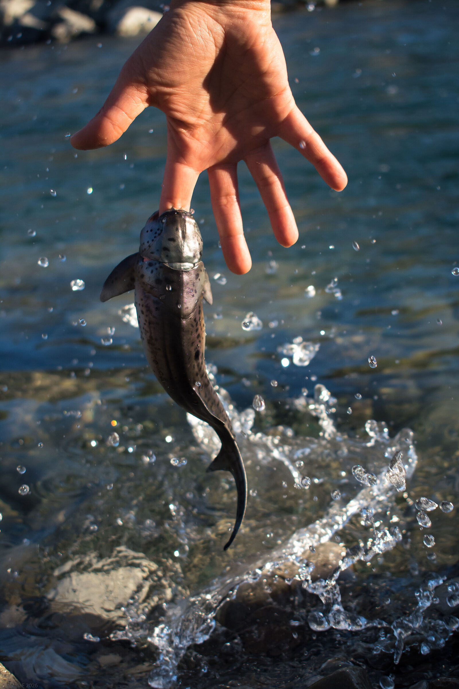 Pesca preistorica