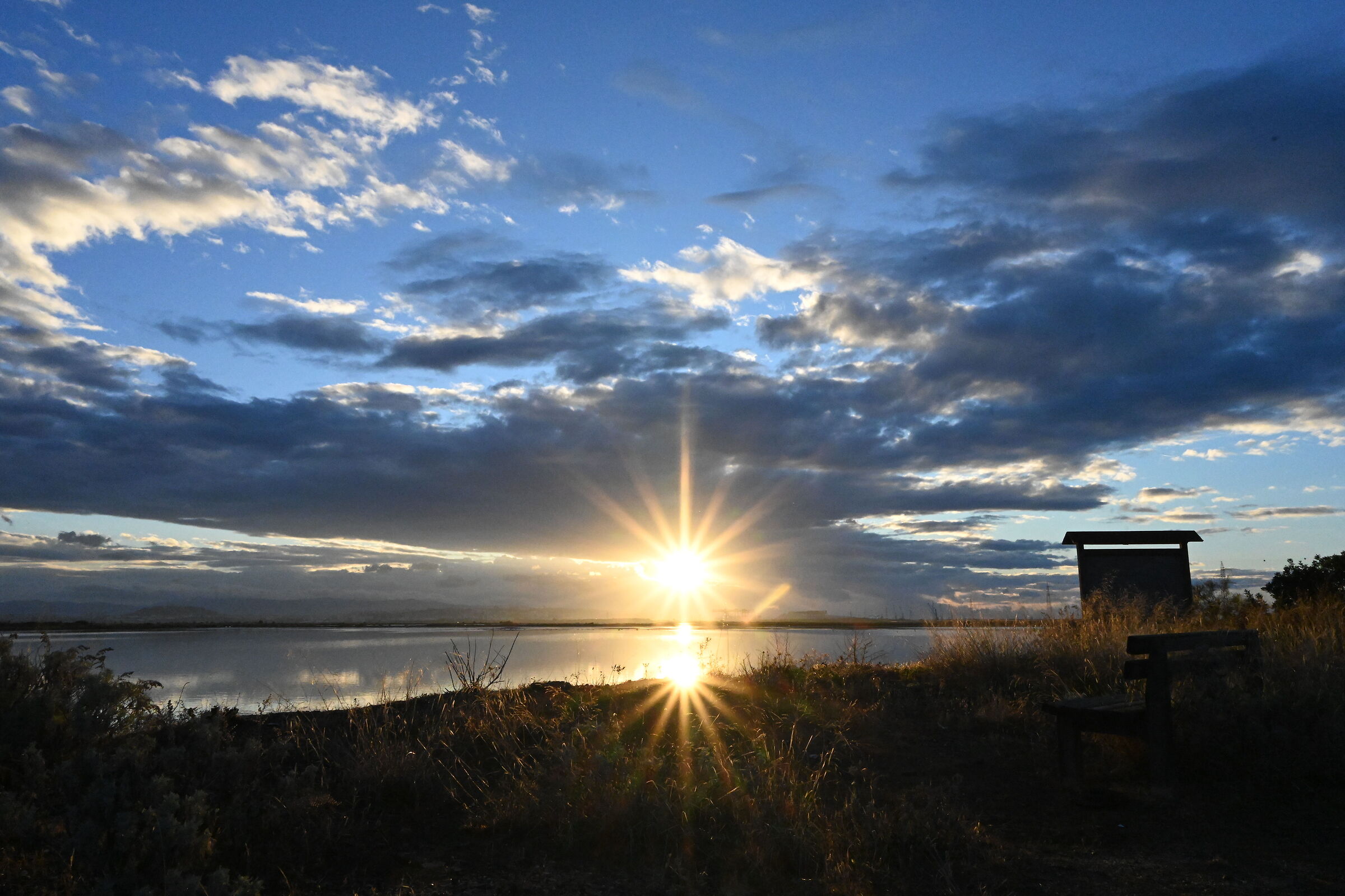 alba