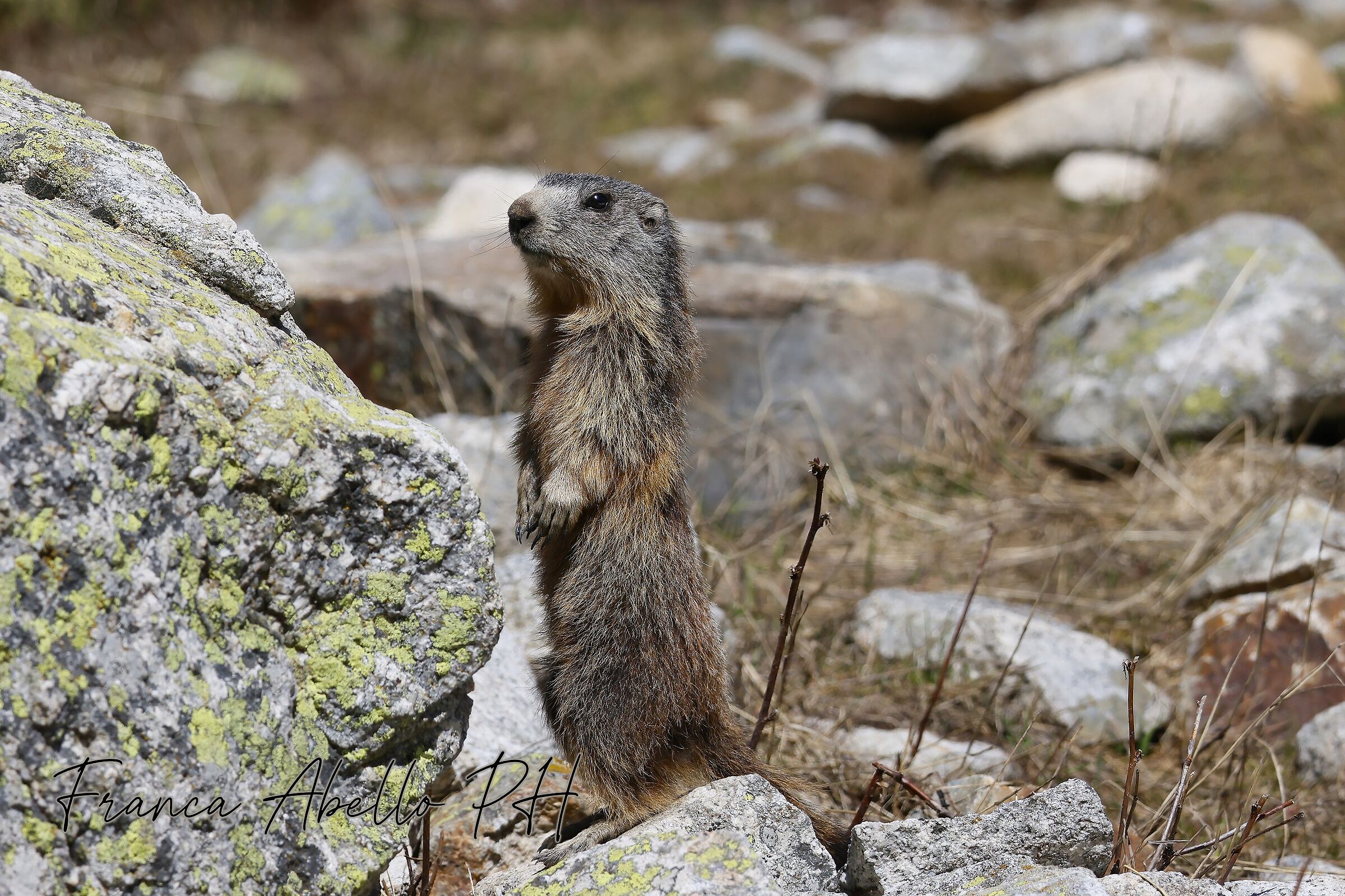 I'm on the lookout!!!