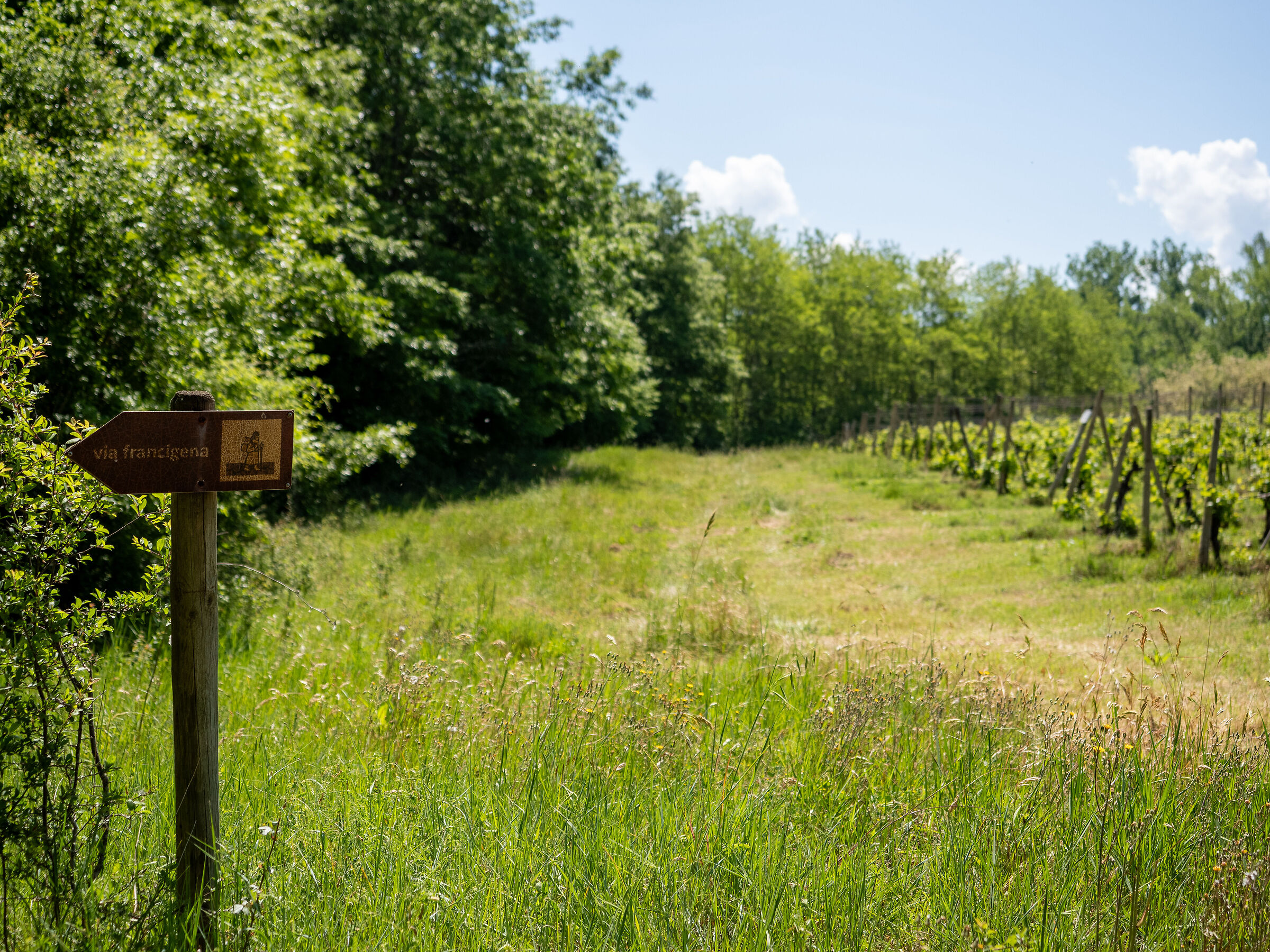 Via Francigena