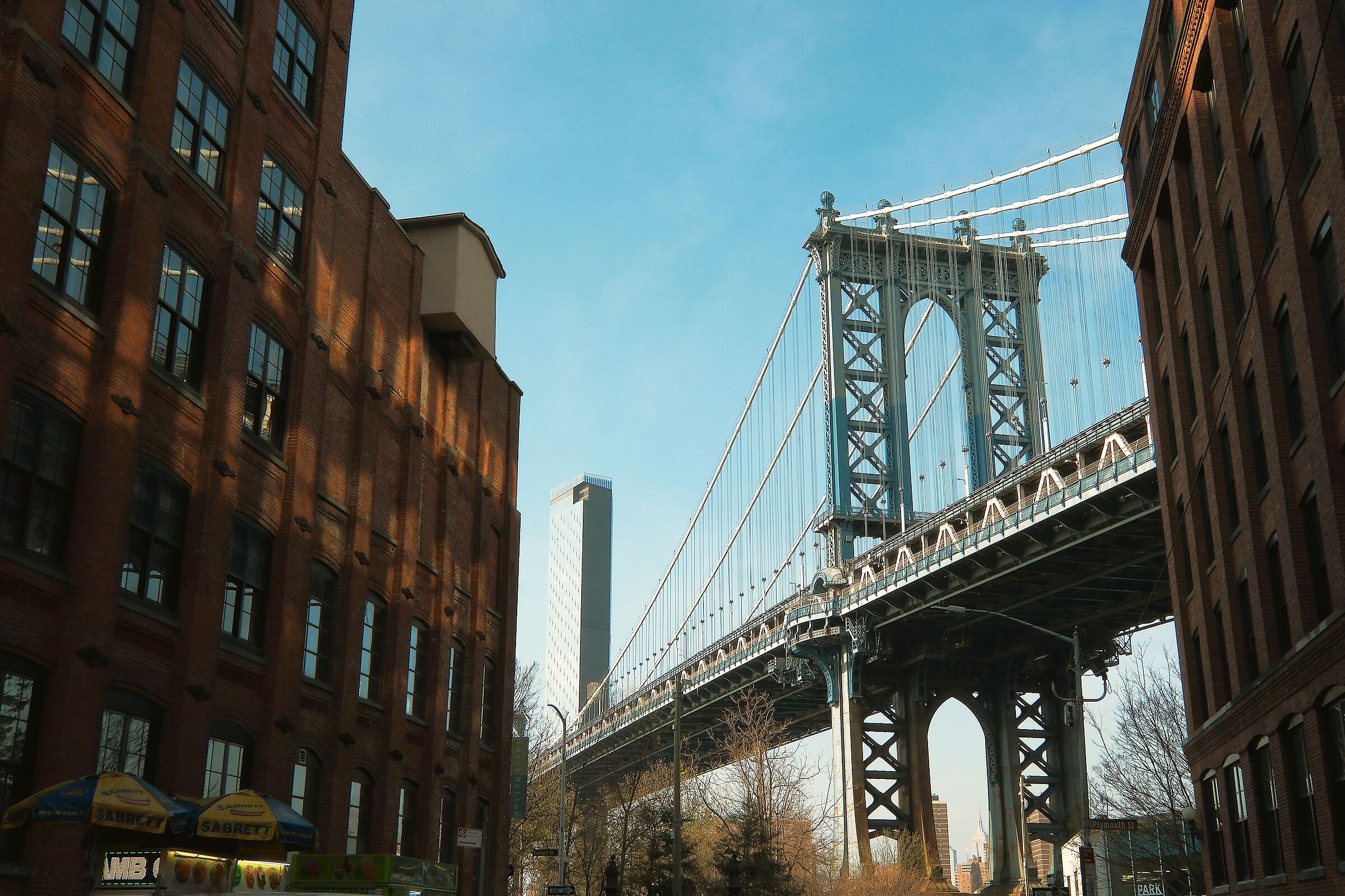 Dumbo