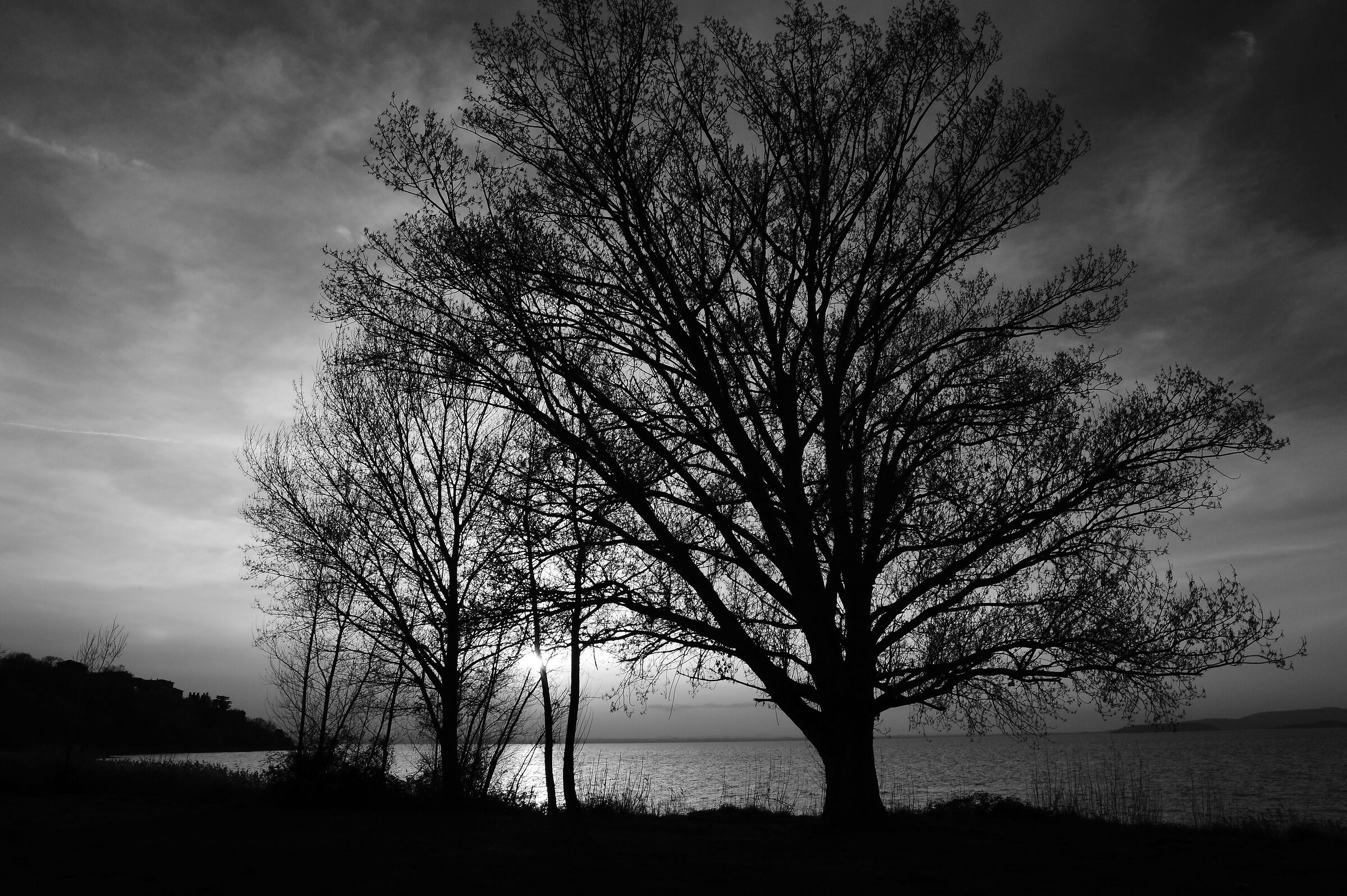 Backlit sunset