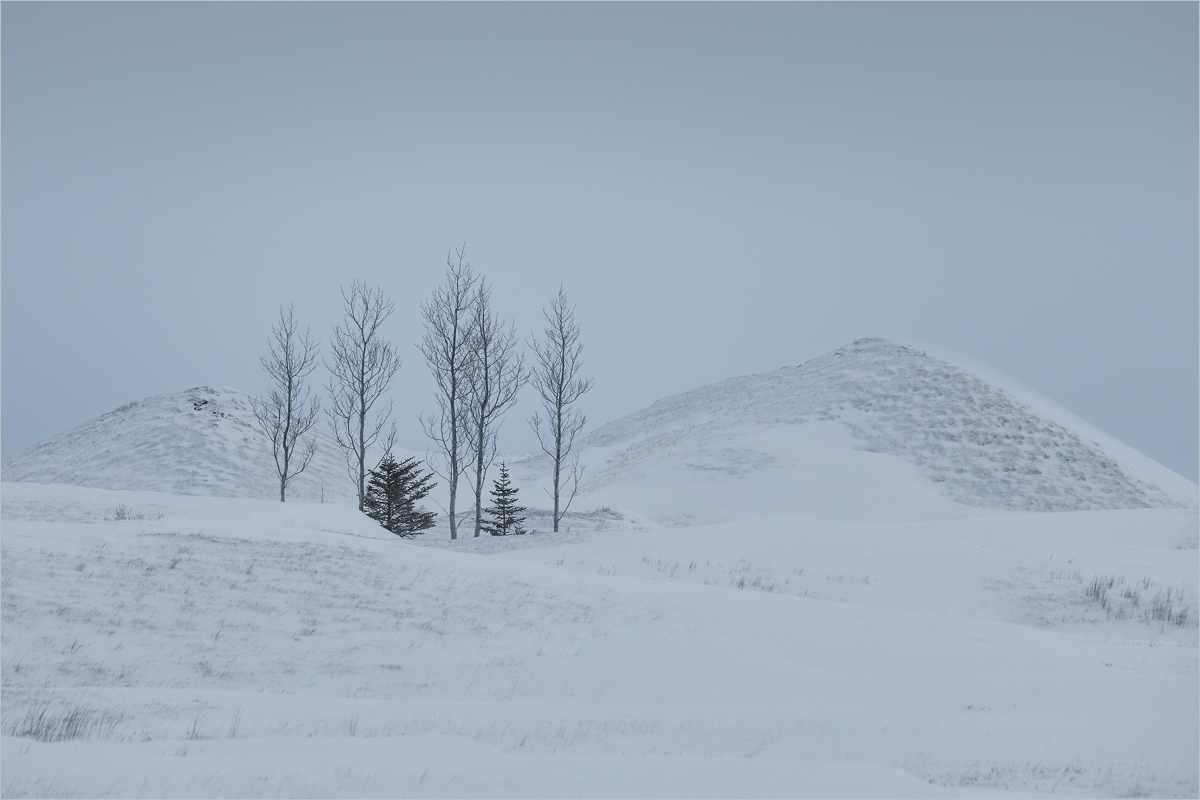 Icelandic Minimal